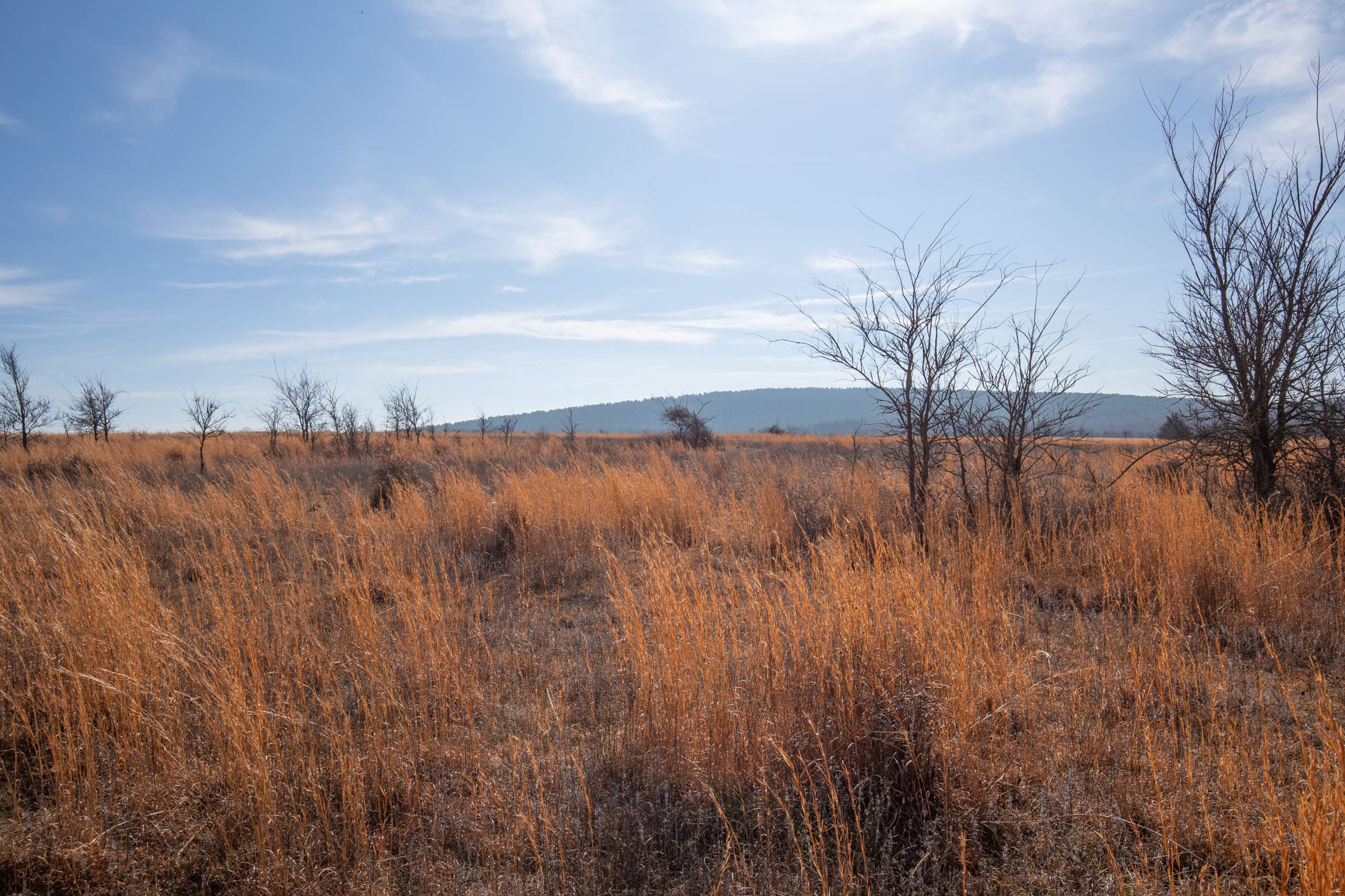 Painted Horse Tract 25 photo 11