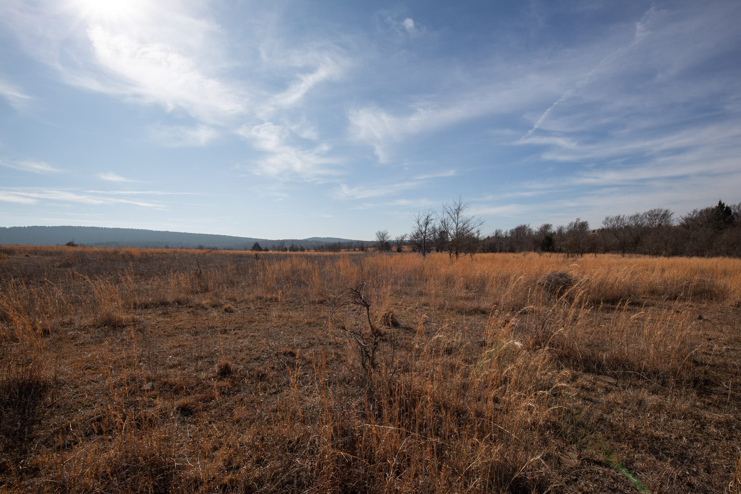 Painted Horse Tract 25 photo 10