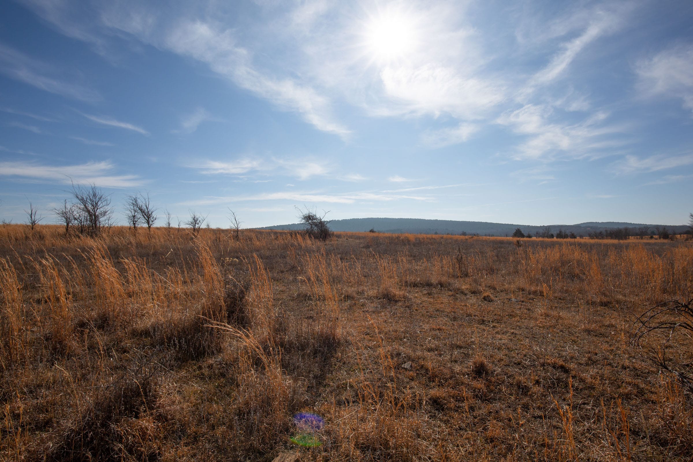 Painted Horse Tract 25 photo 14
