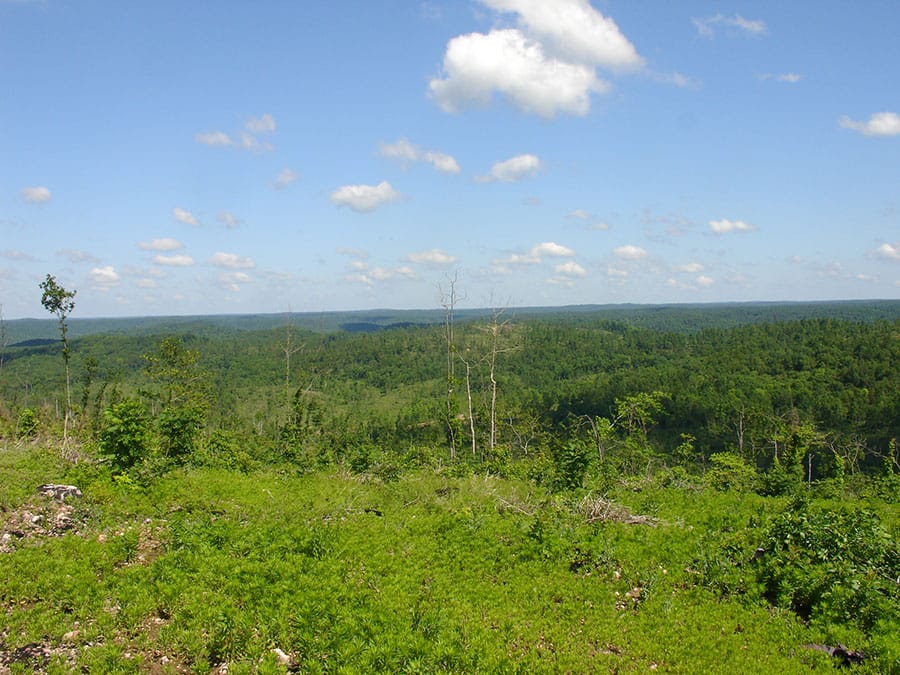 Antler Ridge Tract 2 photo 2