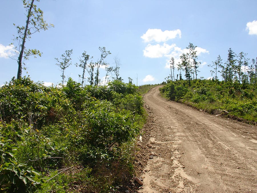 Antler Ridge Tract 2 photo 3