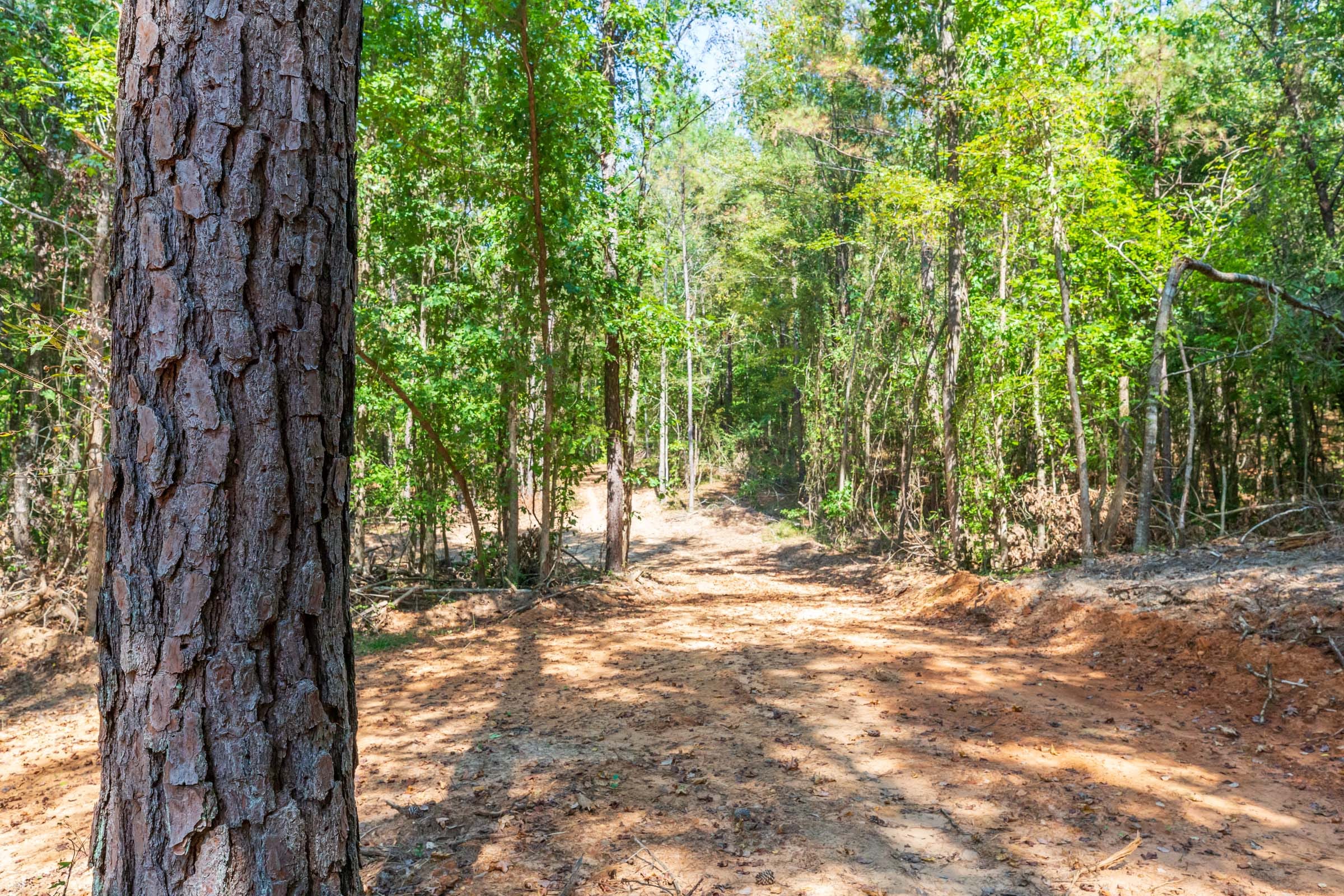 Willow Grove Tract 15 photo 1