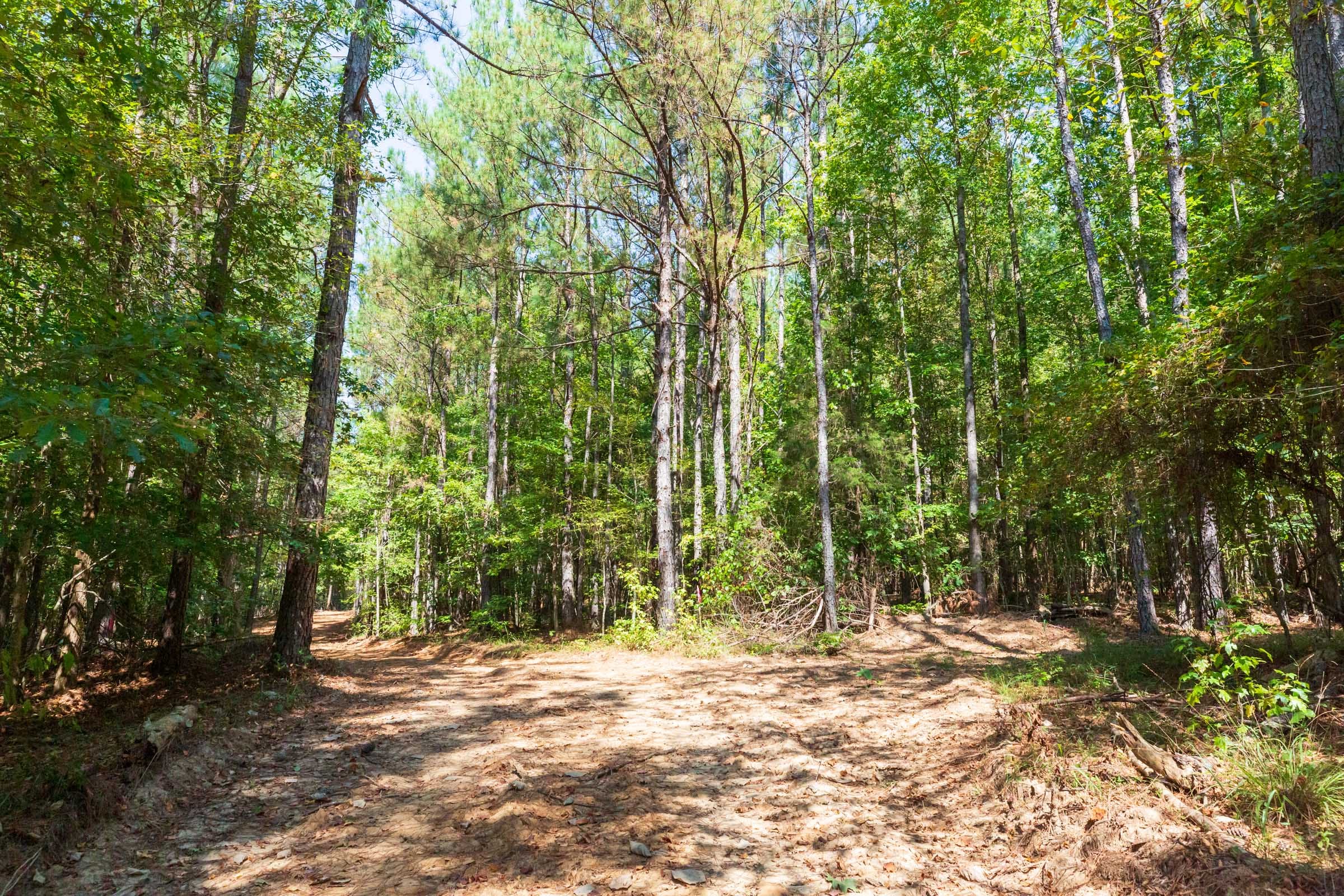 Willow Grove Tract 15 photo 4