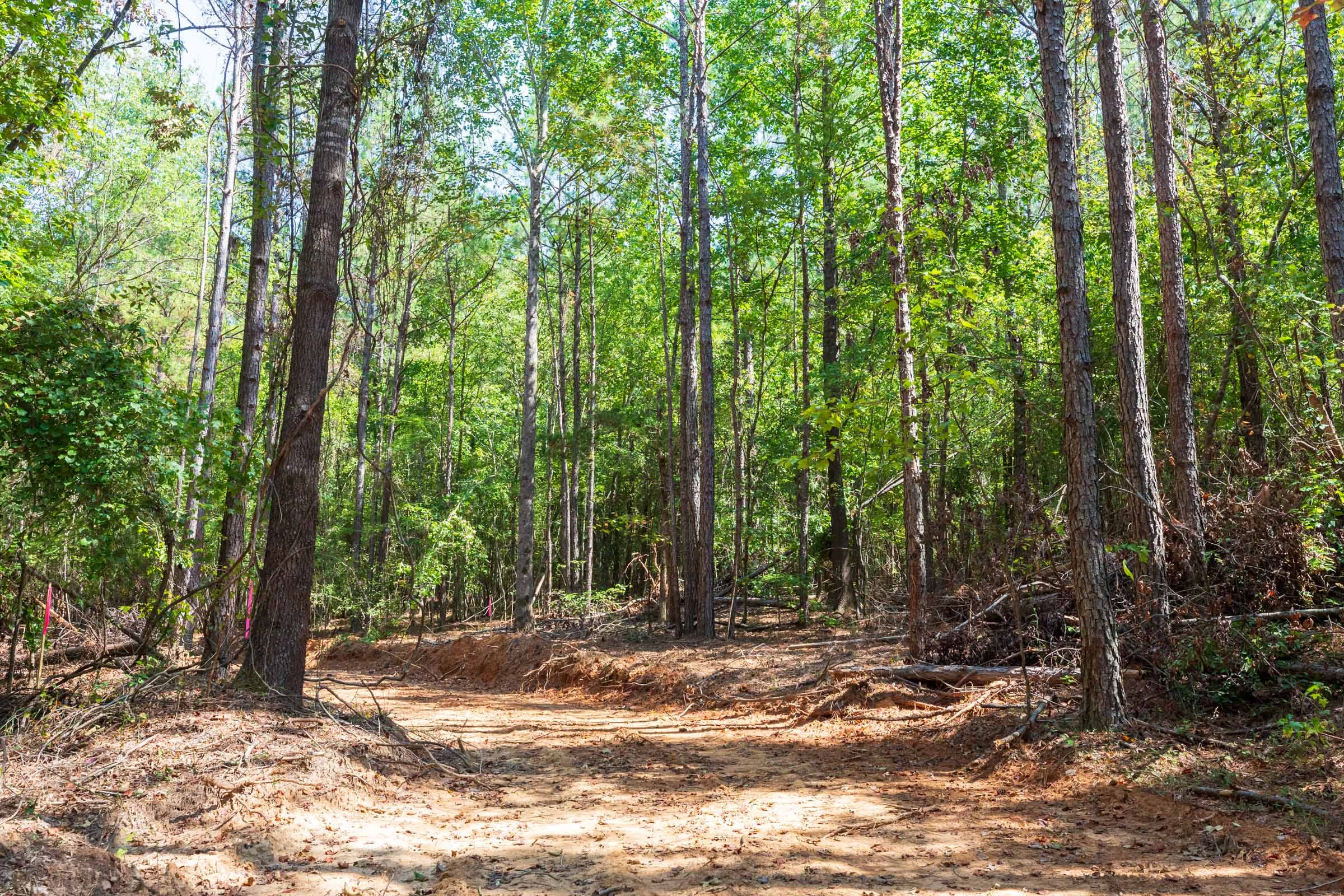 Willow Grove Tract 15 photo 8