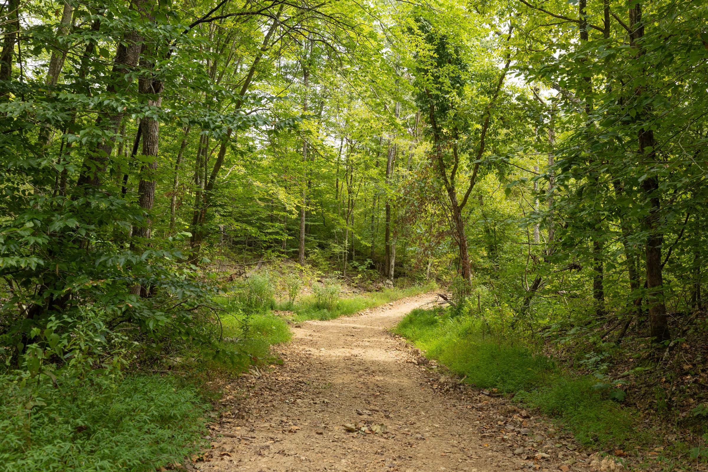 Big White Oak Tract 141 photo 10