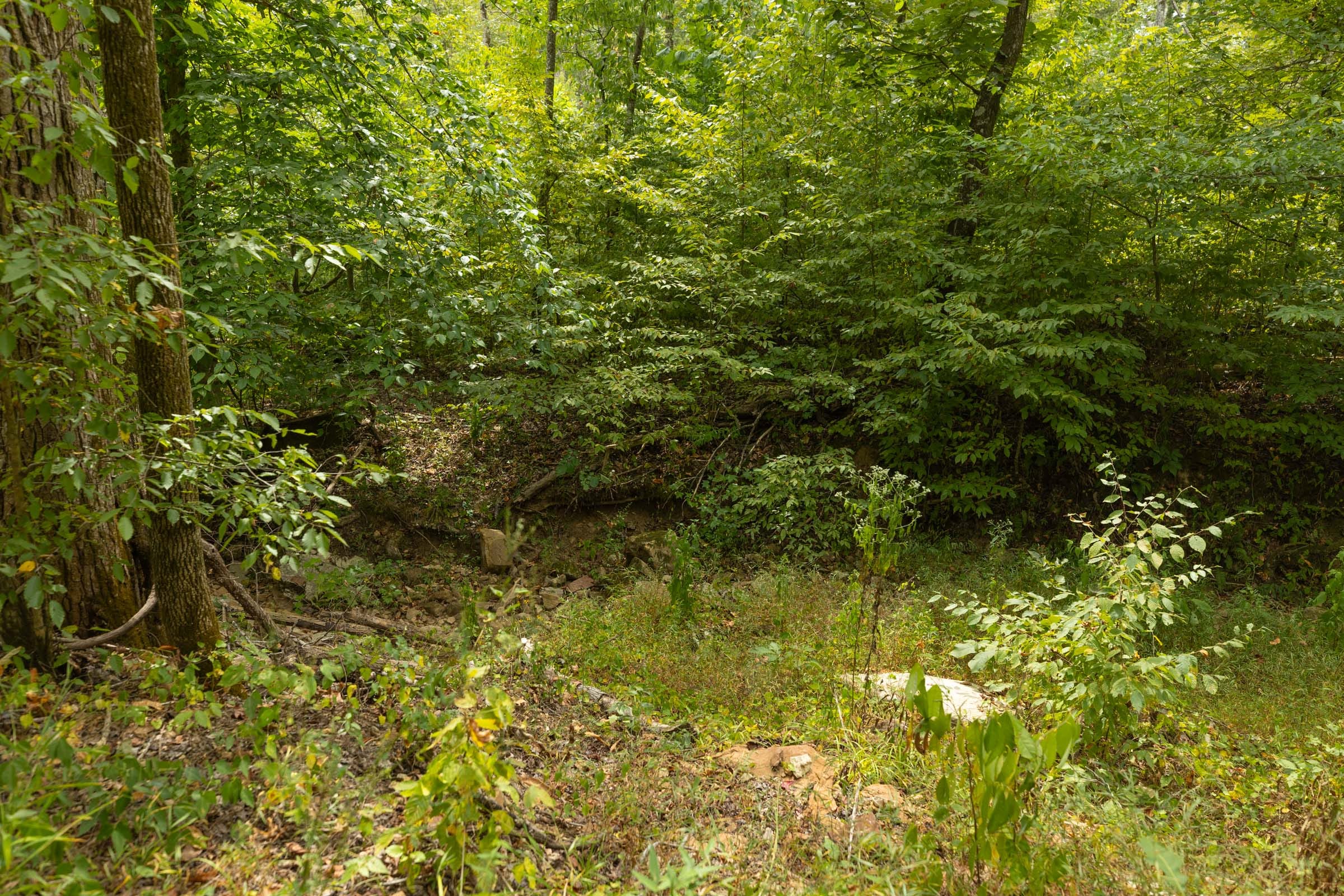 Big White Oak Tract 141 photo 5
