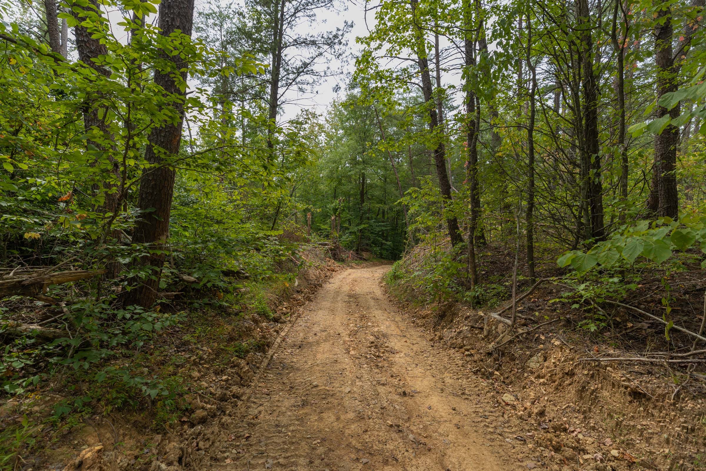 Big White Oak Tract 141 photo 4