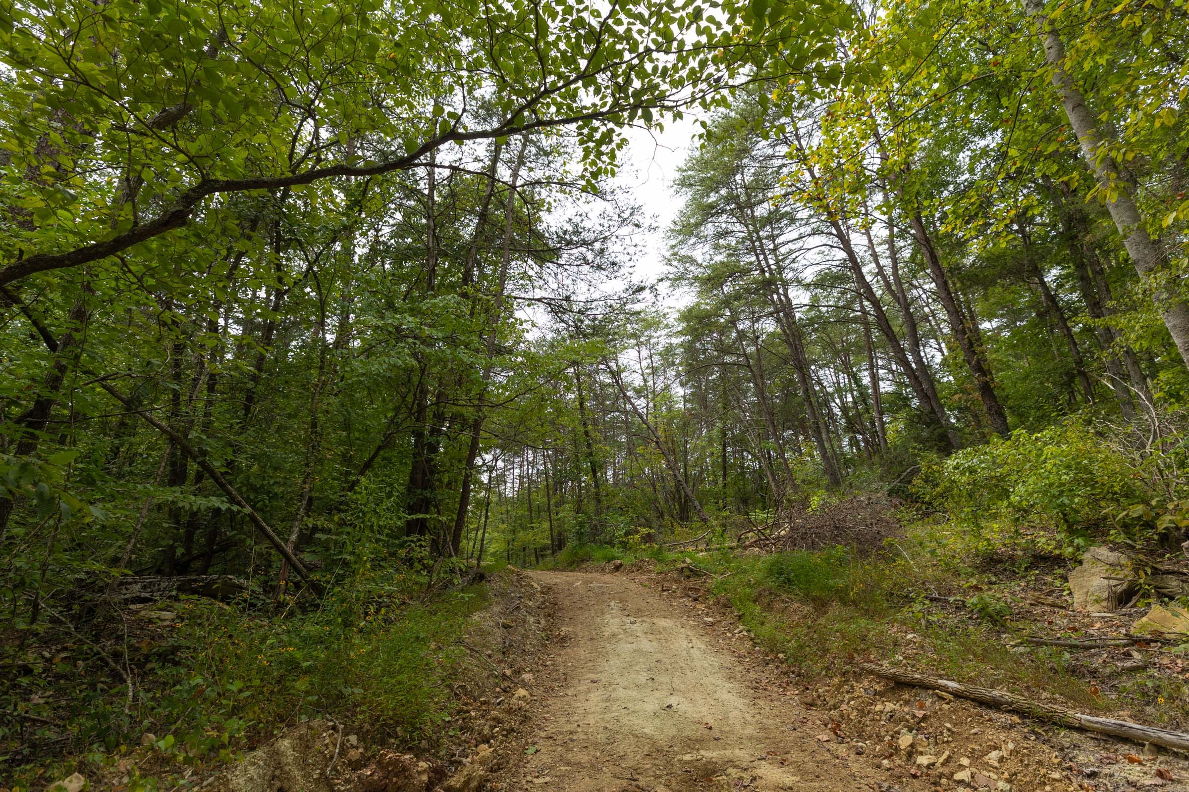 Big White Oak Tract 141 photo 1