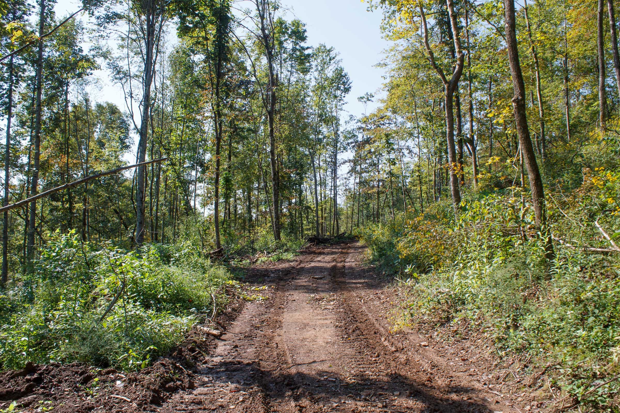 Wounded Oak Tract 12 photo 1