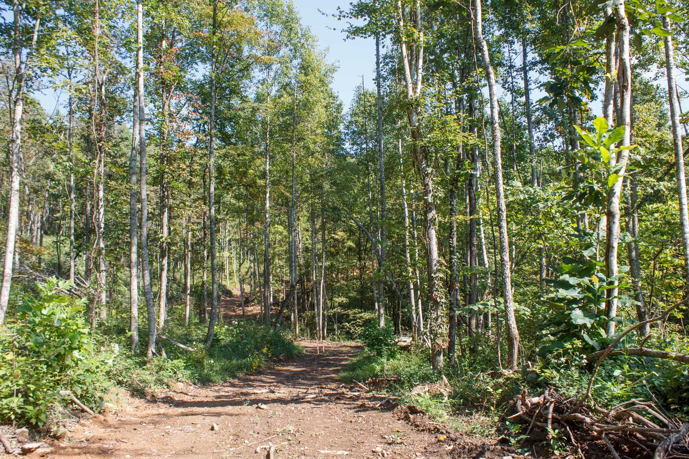 Wounded Oak Tract 12 photo 6