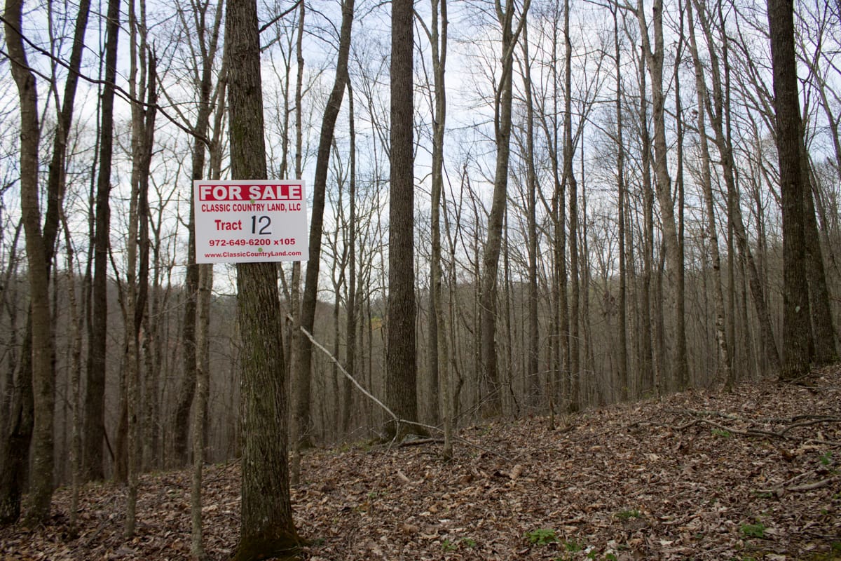 Chestnut Oak Ridge Tract 12 photo 1