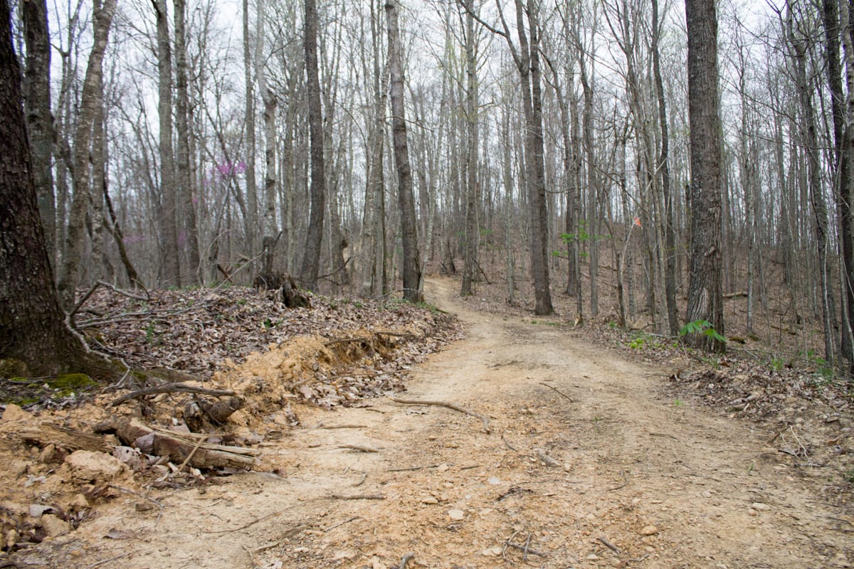 Chestnut Oak Ridge Tract 12 photo 2