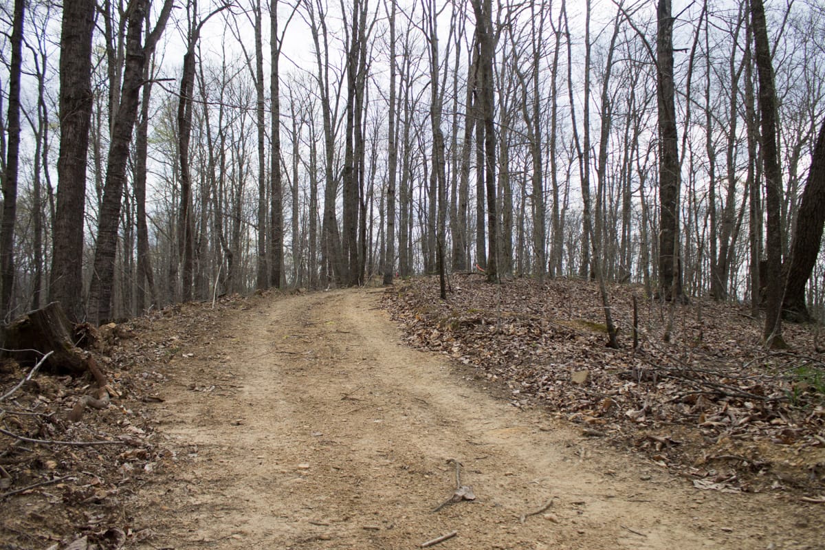 Chestnut Oak Ridge Tract 12 photo 11