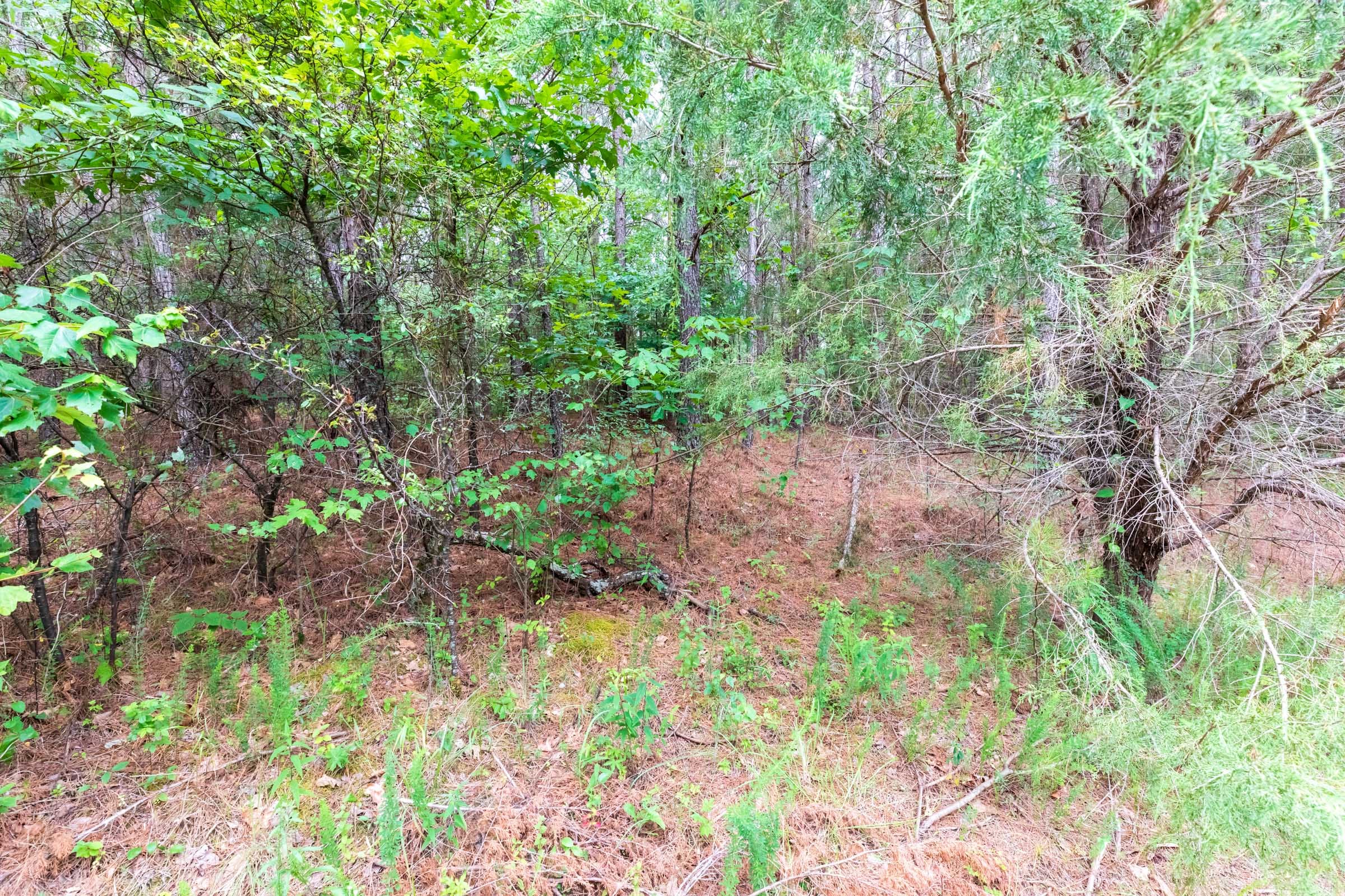 Whiskey Ridge Tract 35 photo 11