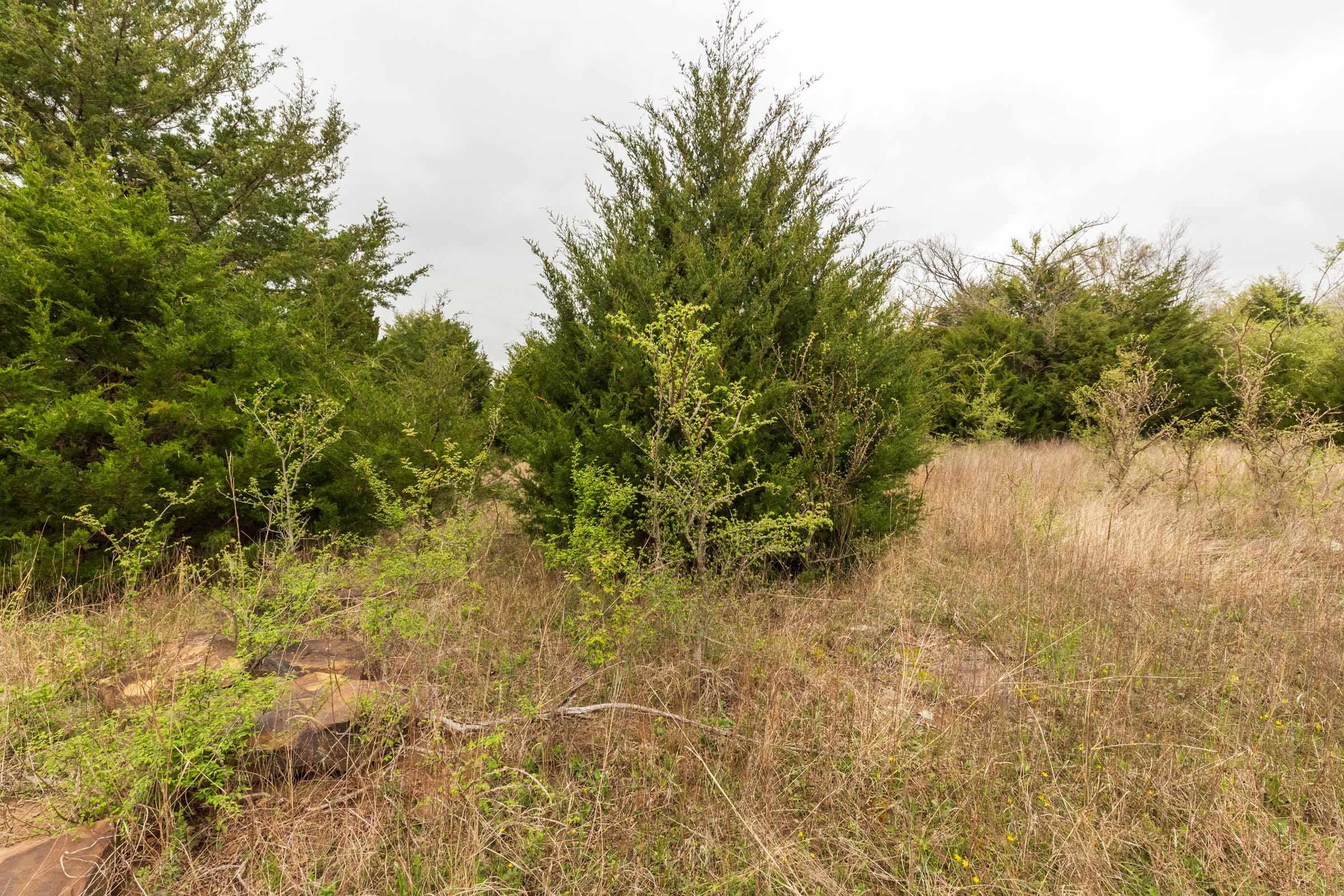 Moonrise Meadows Tract 18 photo 7