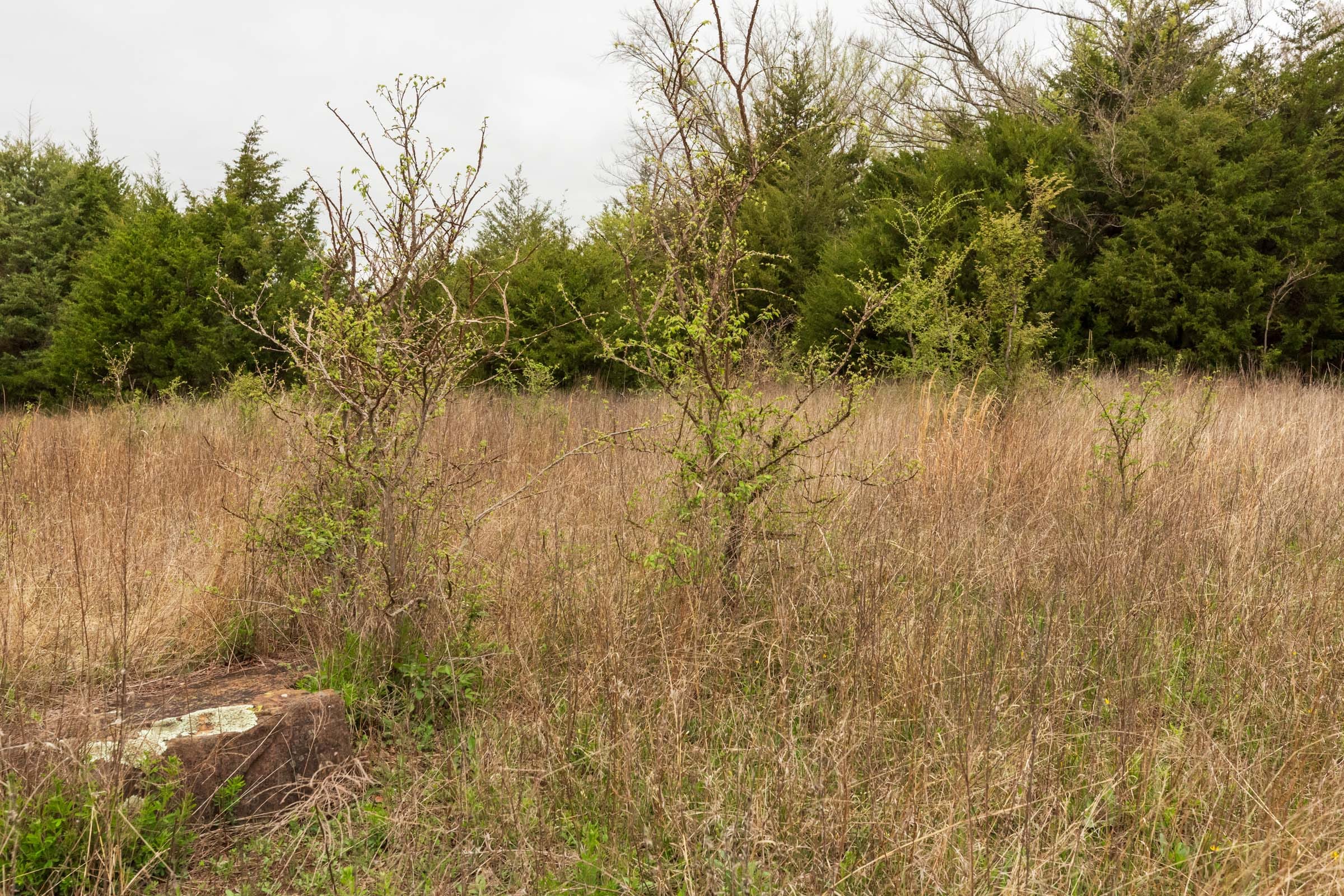 Moonrise Meadows Tract 18 photo 6