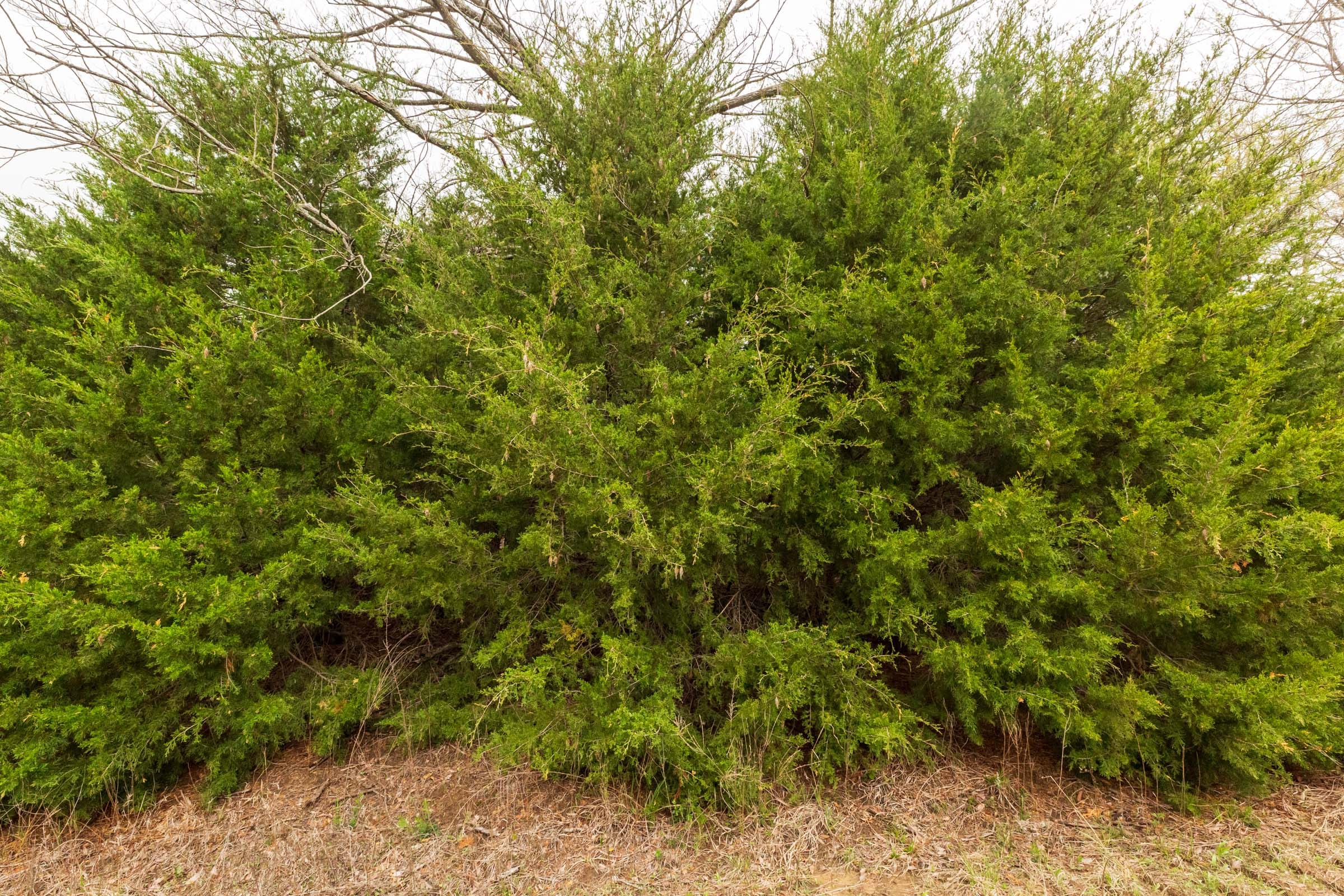 Moonrise Meadows Tract 18 photo 8