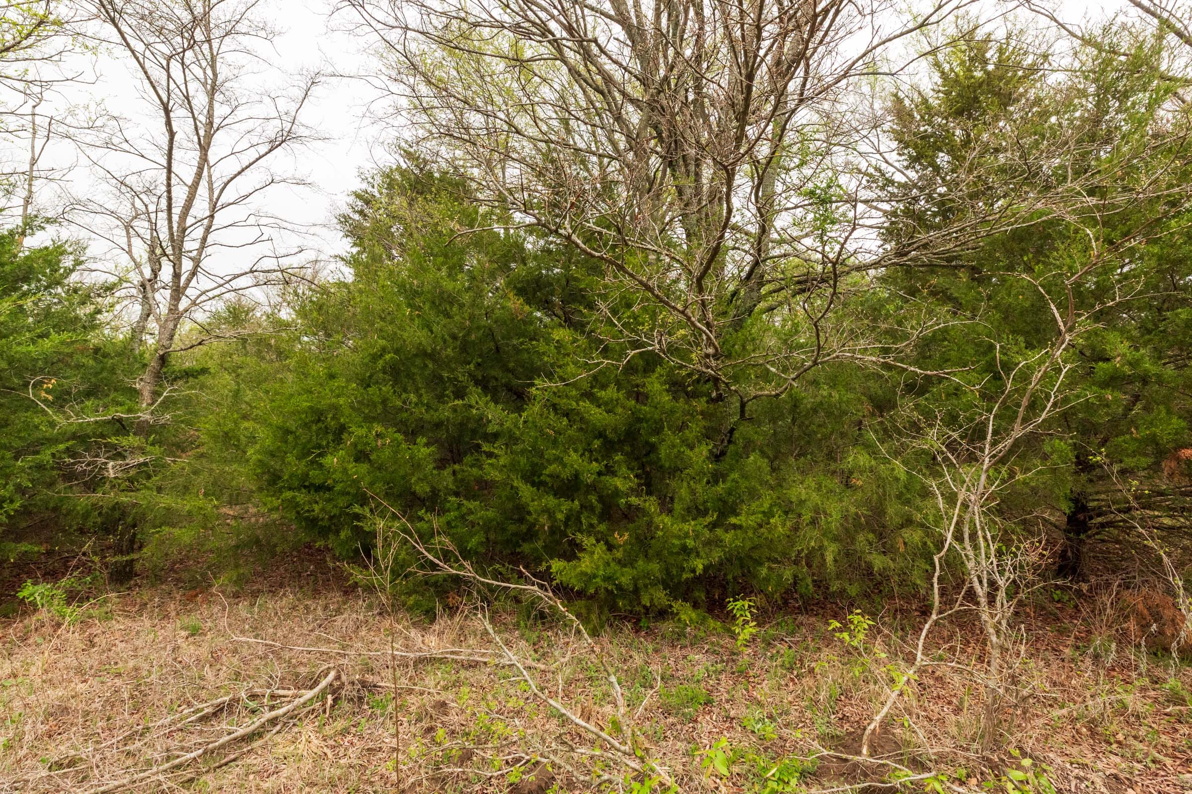 Moonrise Meadows Tract 18 photo 9