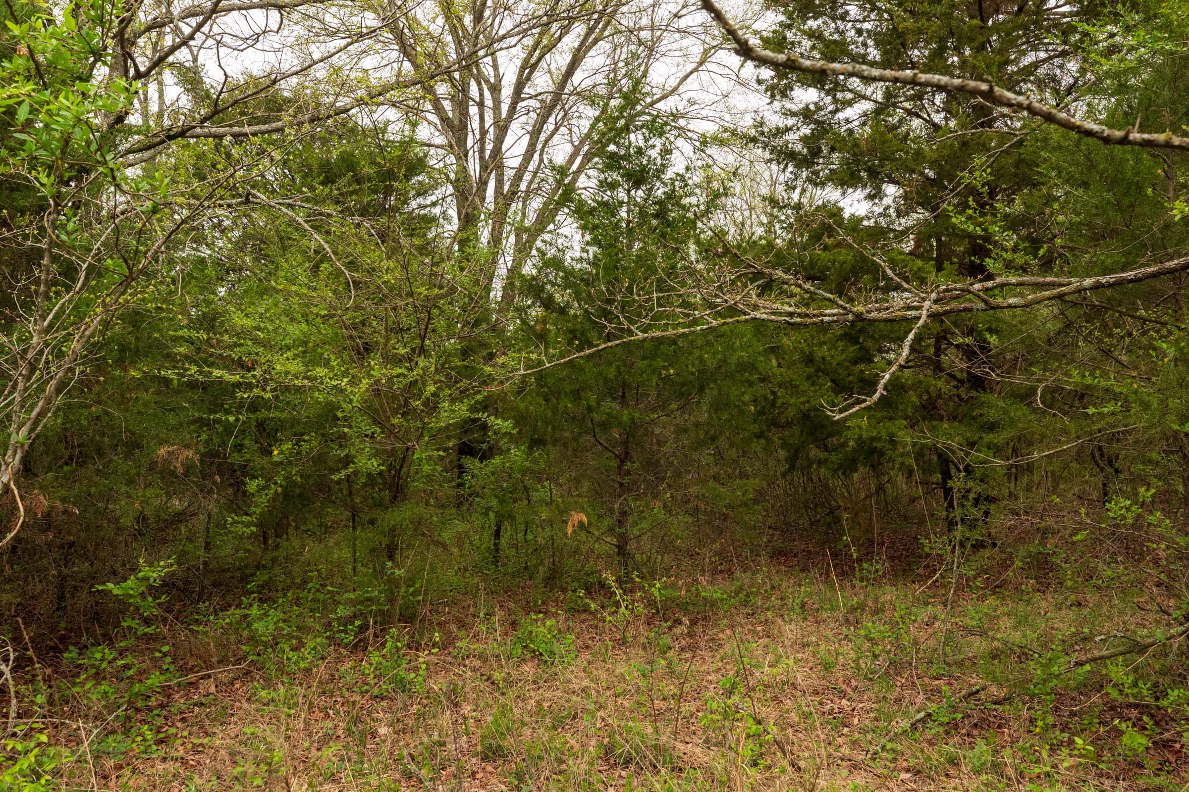 Moonrise Meadows Tract 18 photo 11