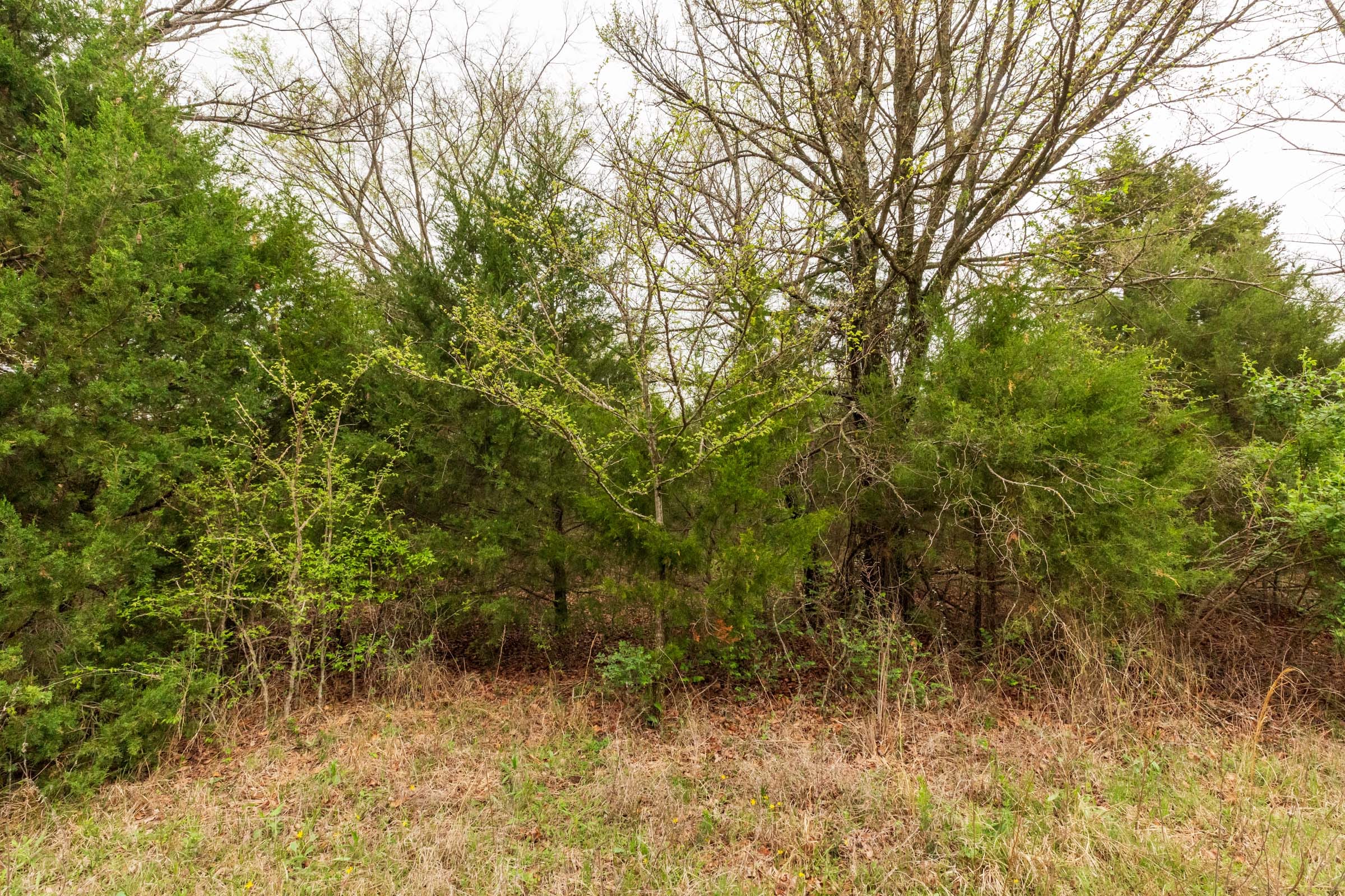 Moonrise Meadows Tract 18 photo 10