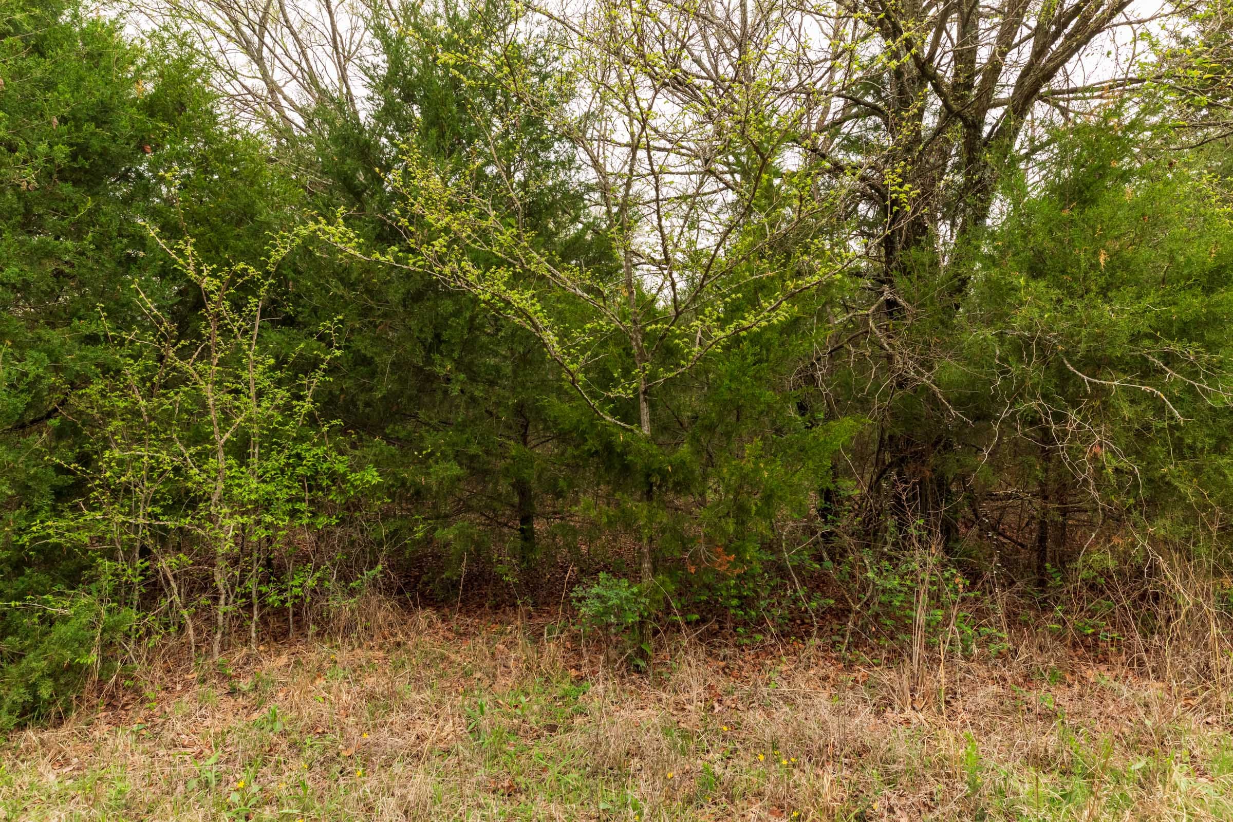 Moonrise Meadows Tract 18 photo 12