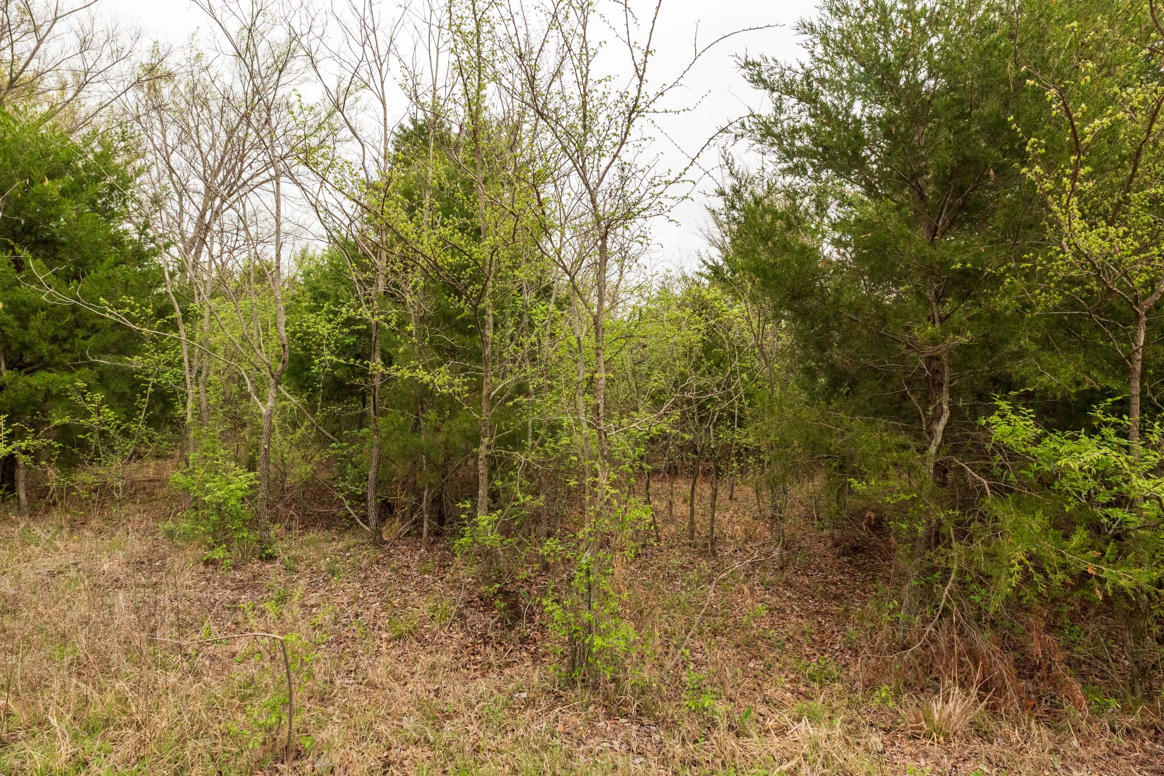 Moonrise Meadows Tract 18 photo 13