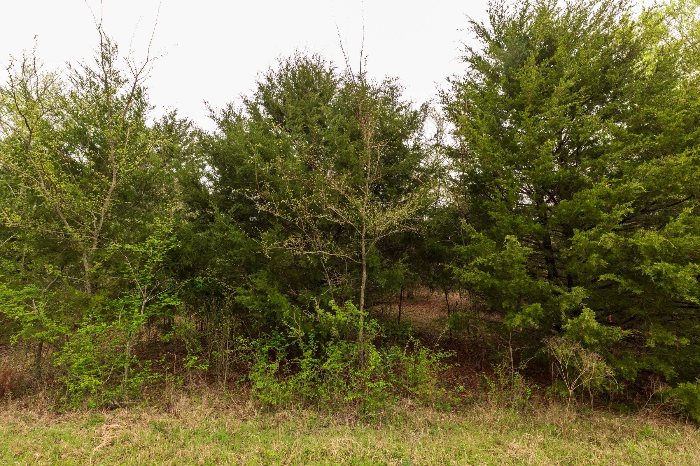 Moonrise Meadows Tract 18 photo 14