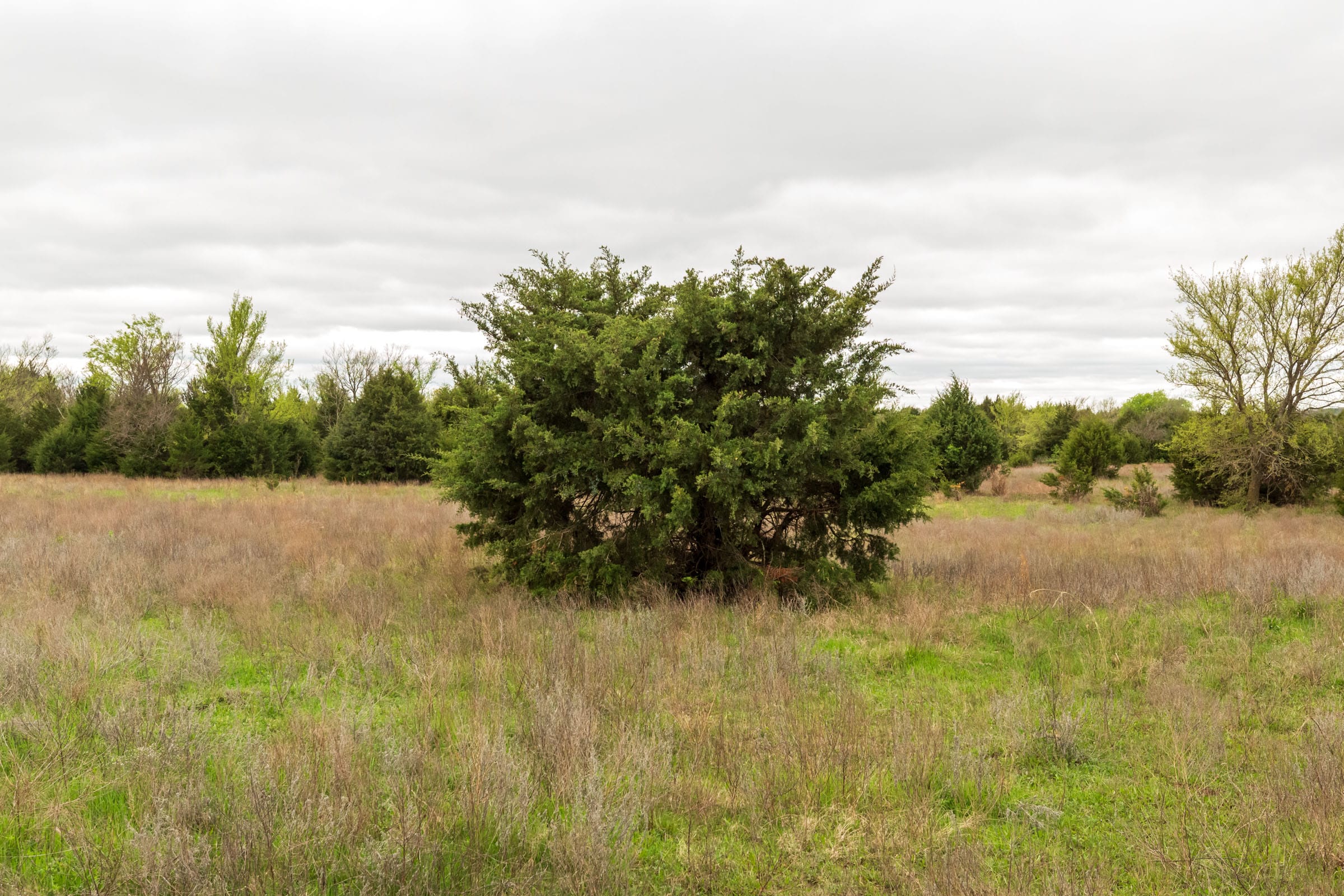 Moonrise Meadows Tract 18 photo 16