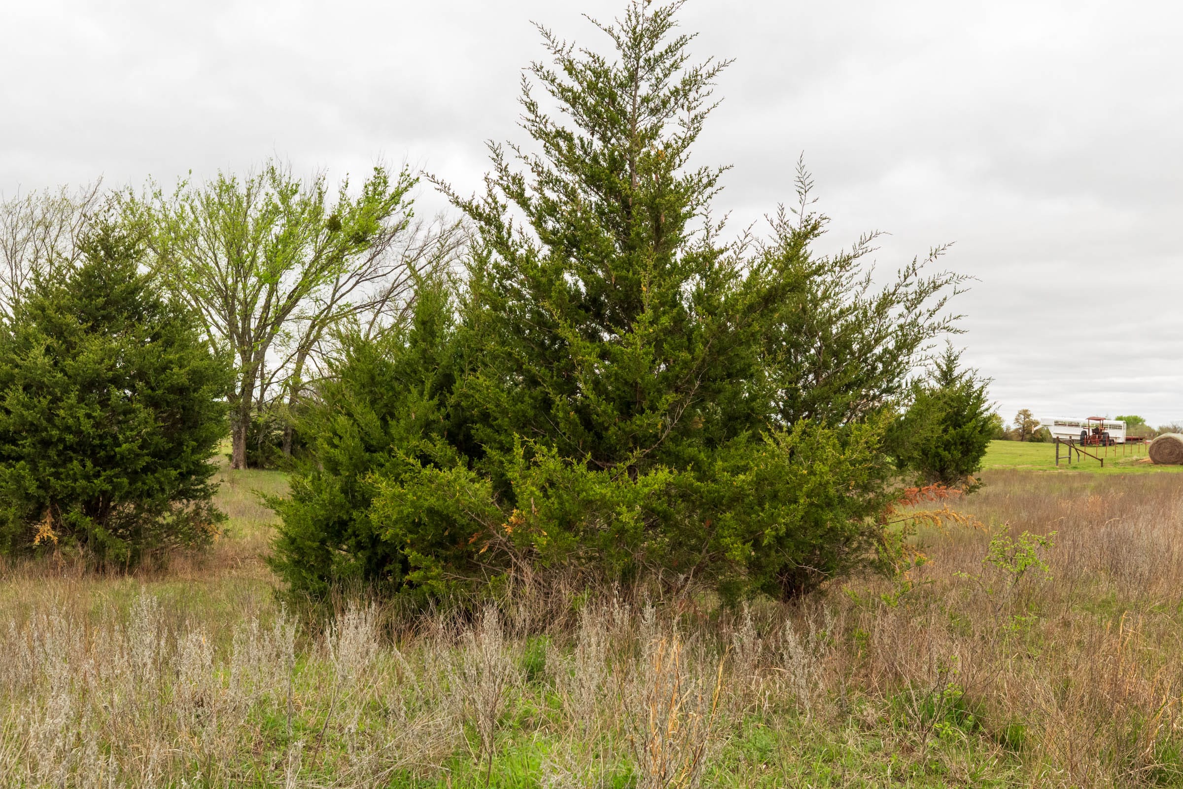 Moonrise Meadows Tract 18 photo 17