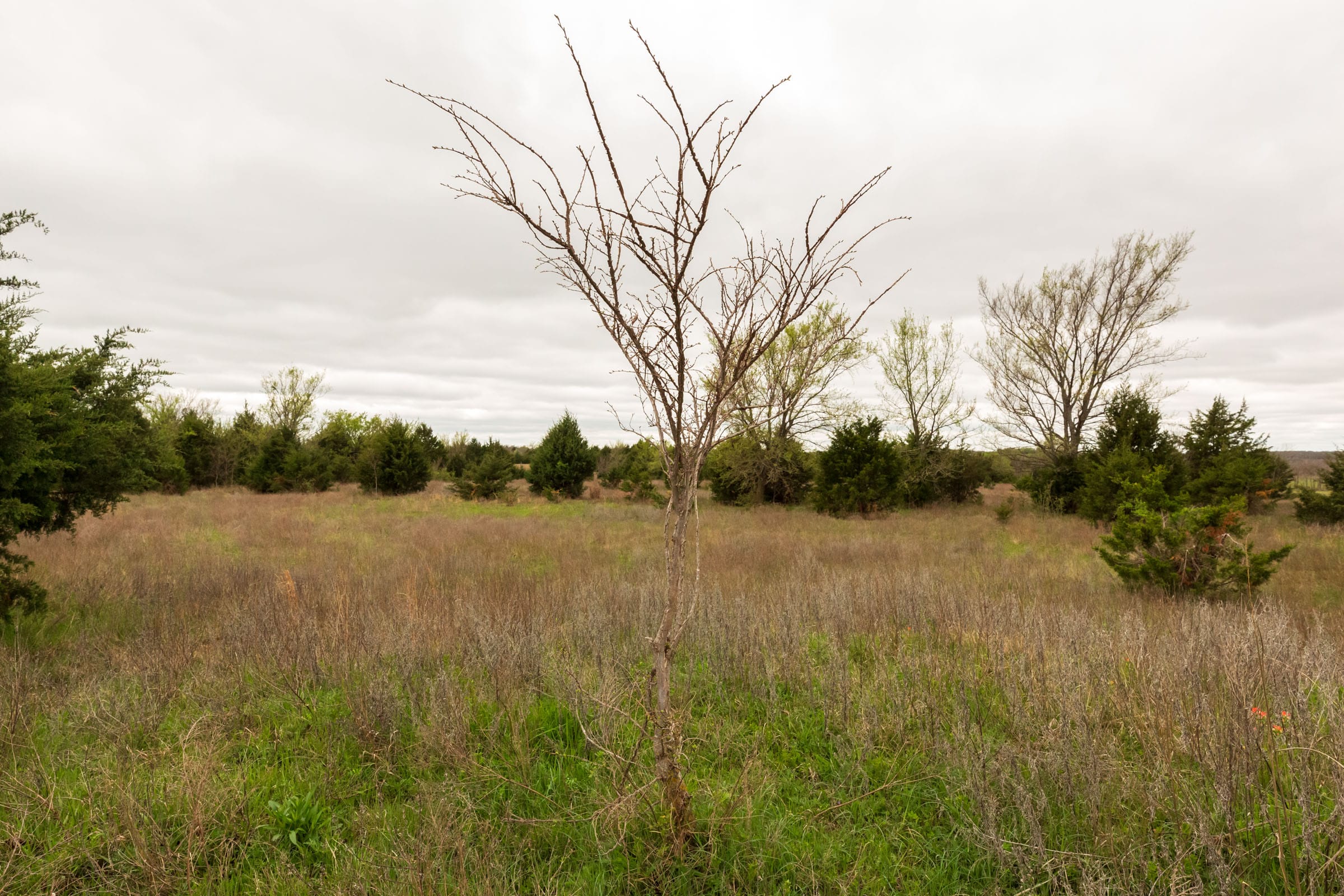 Moonrise Meadows Tract 18 photo 18