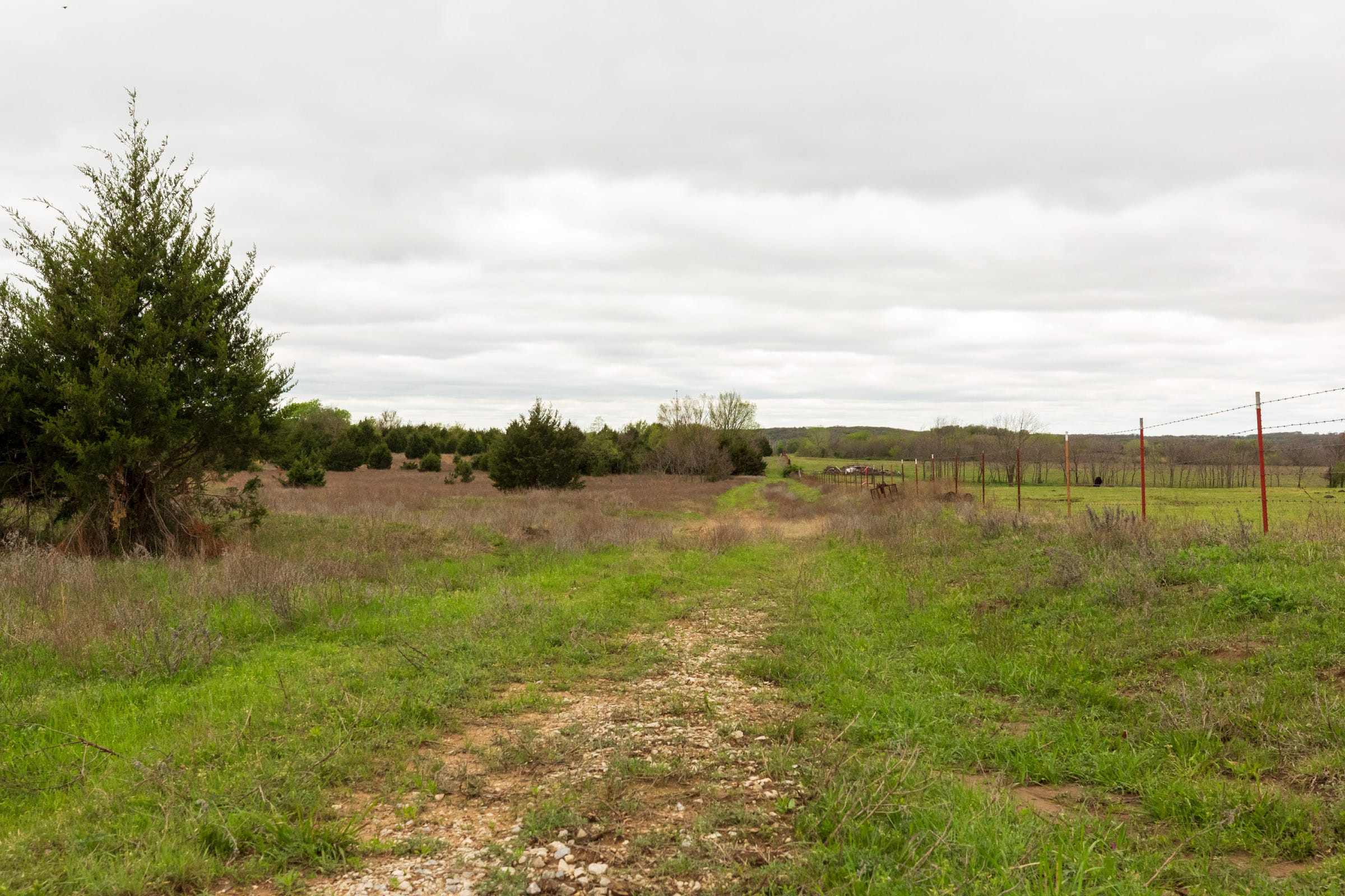 Moonrise Meadows Tract 18 photo 1