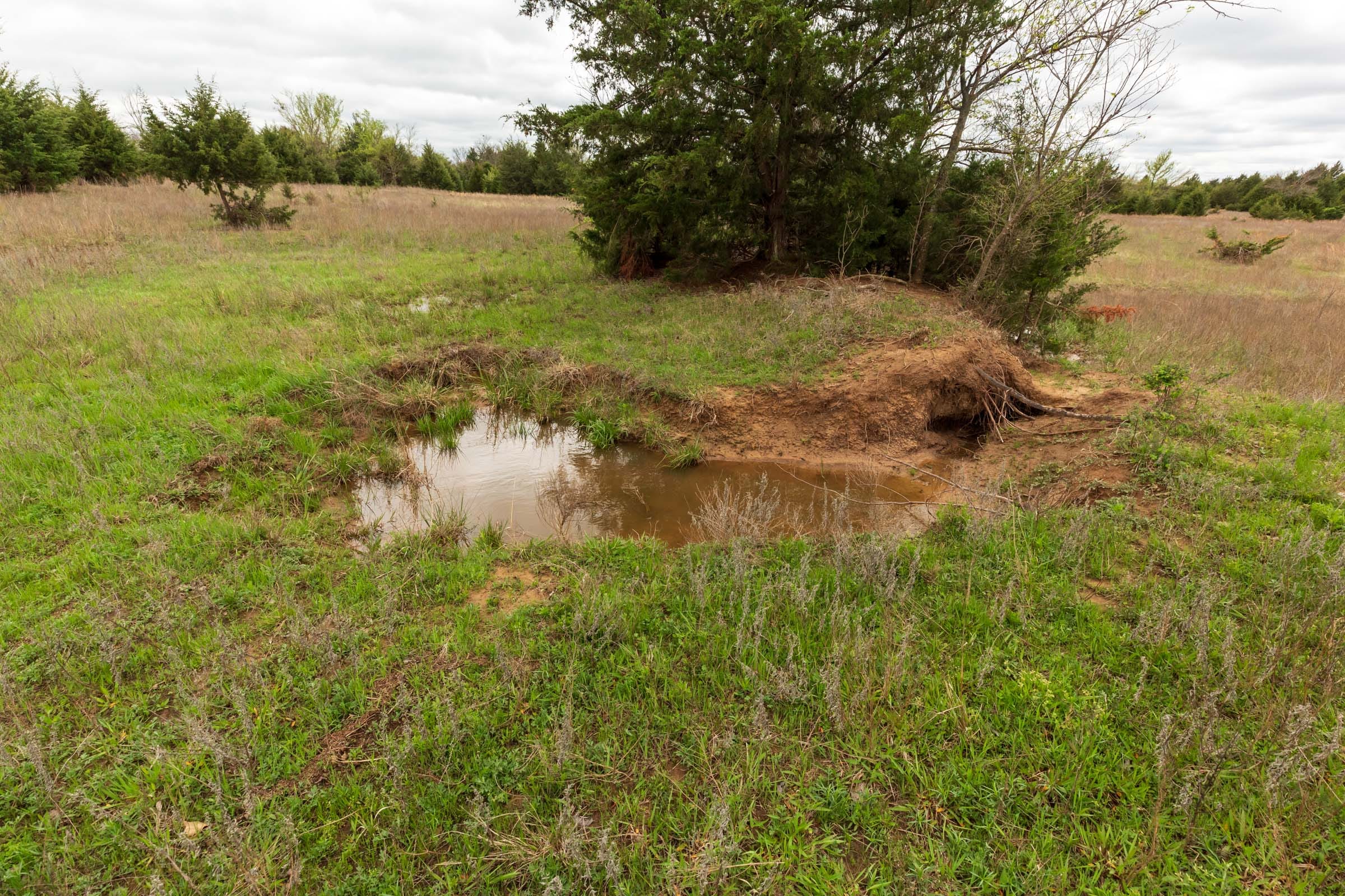 Moonrise Meadows Tract 18 photo 5