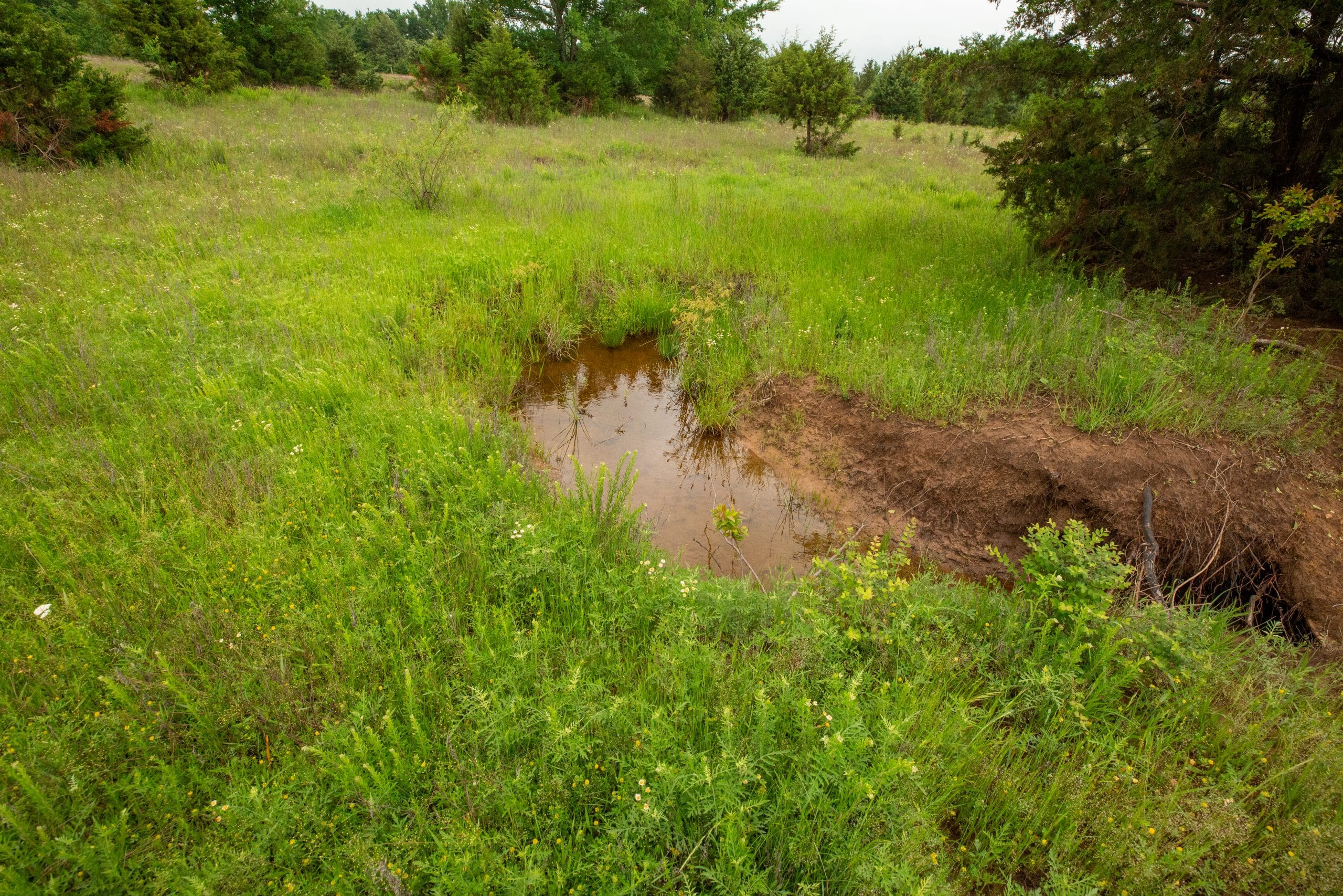 Moonrise Meadows Tract 18 photo 3