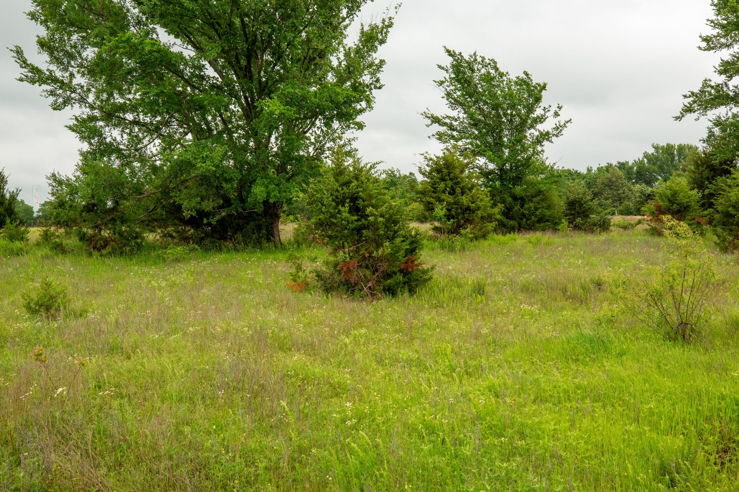 Moonrise Meadows Tract 18 photo 23
