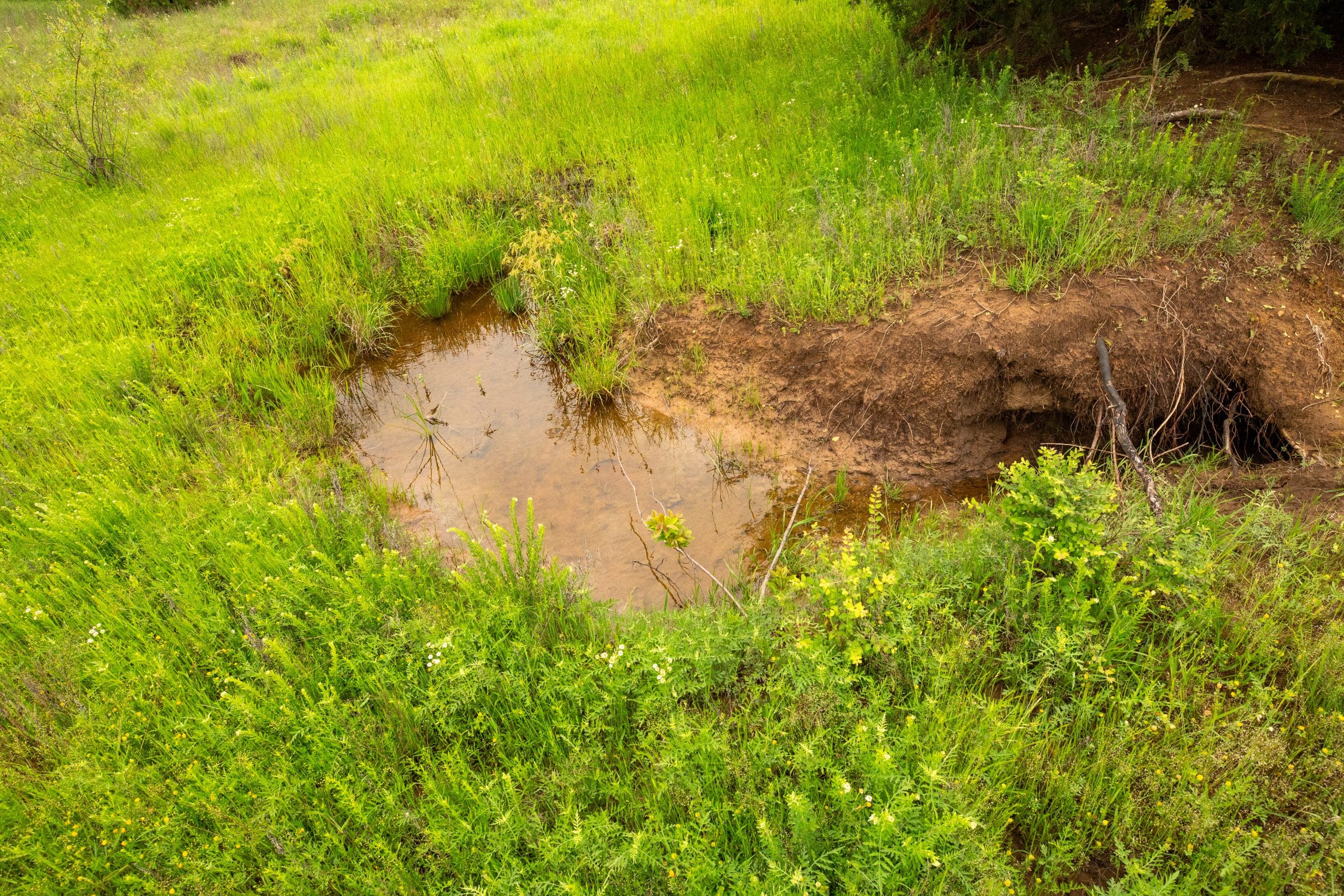 Moonrise Meadows Tract 18 photo 2