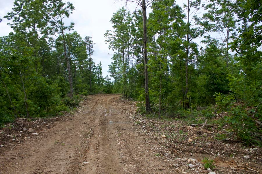 Thunder Mountain Ranch Tract 27 photo 7