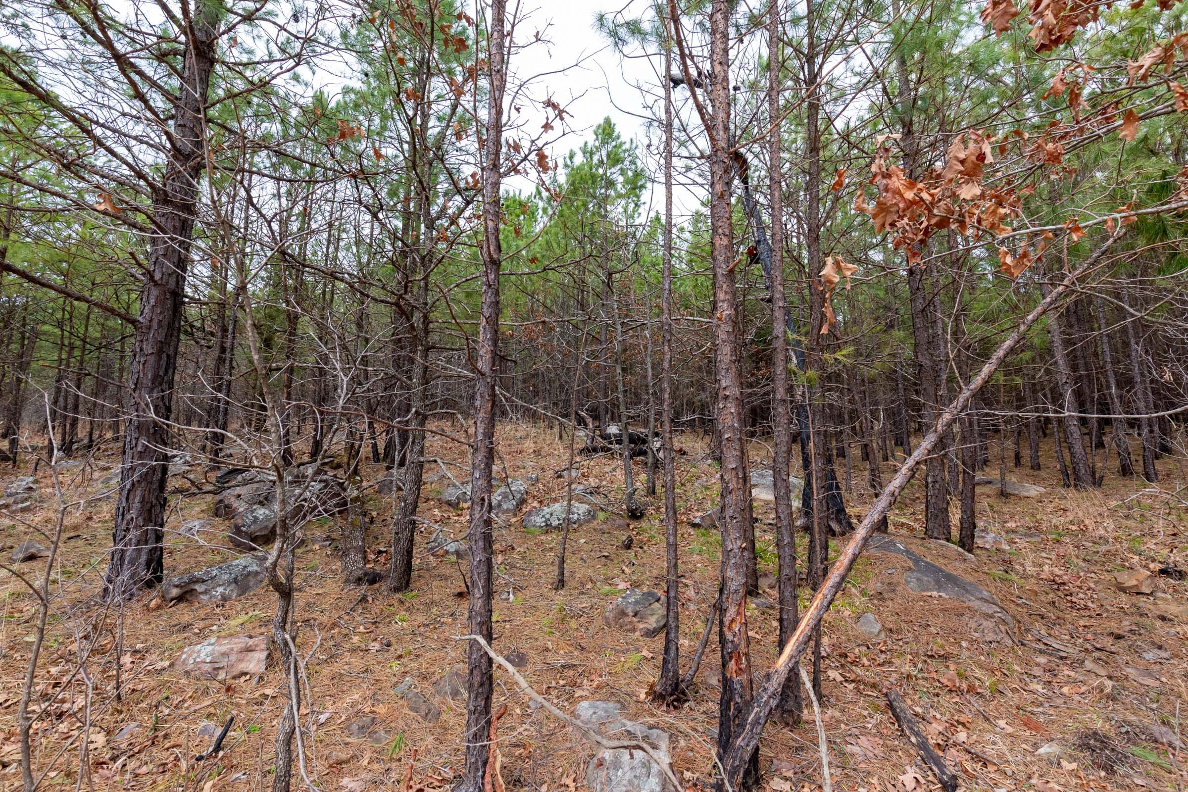 Stone Bridge Phase III Tract 140 photo 3