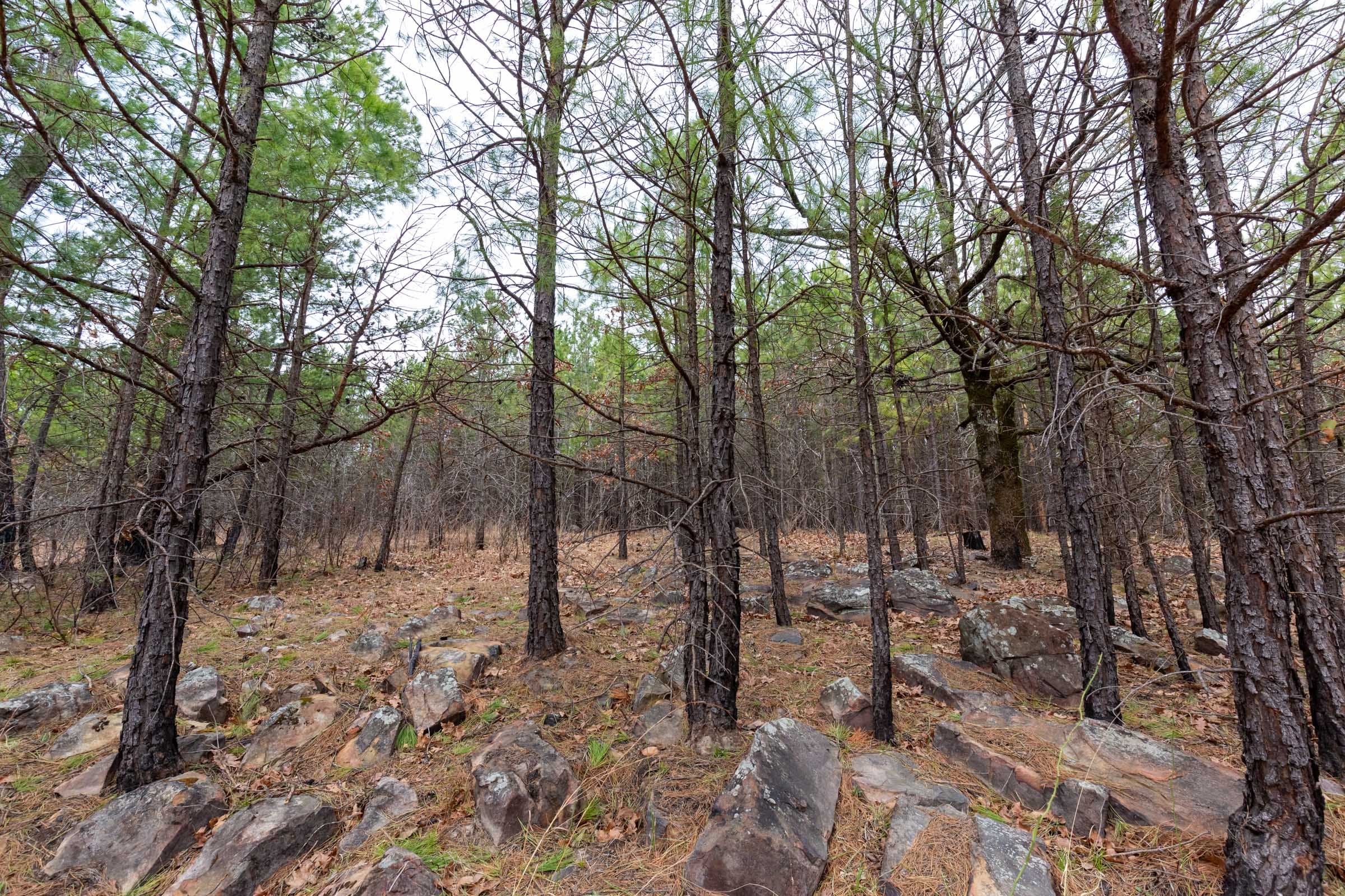 Stone Bridge Phase III Tract 140 photo 8