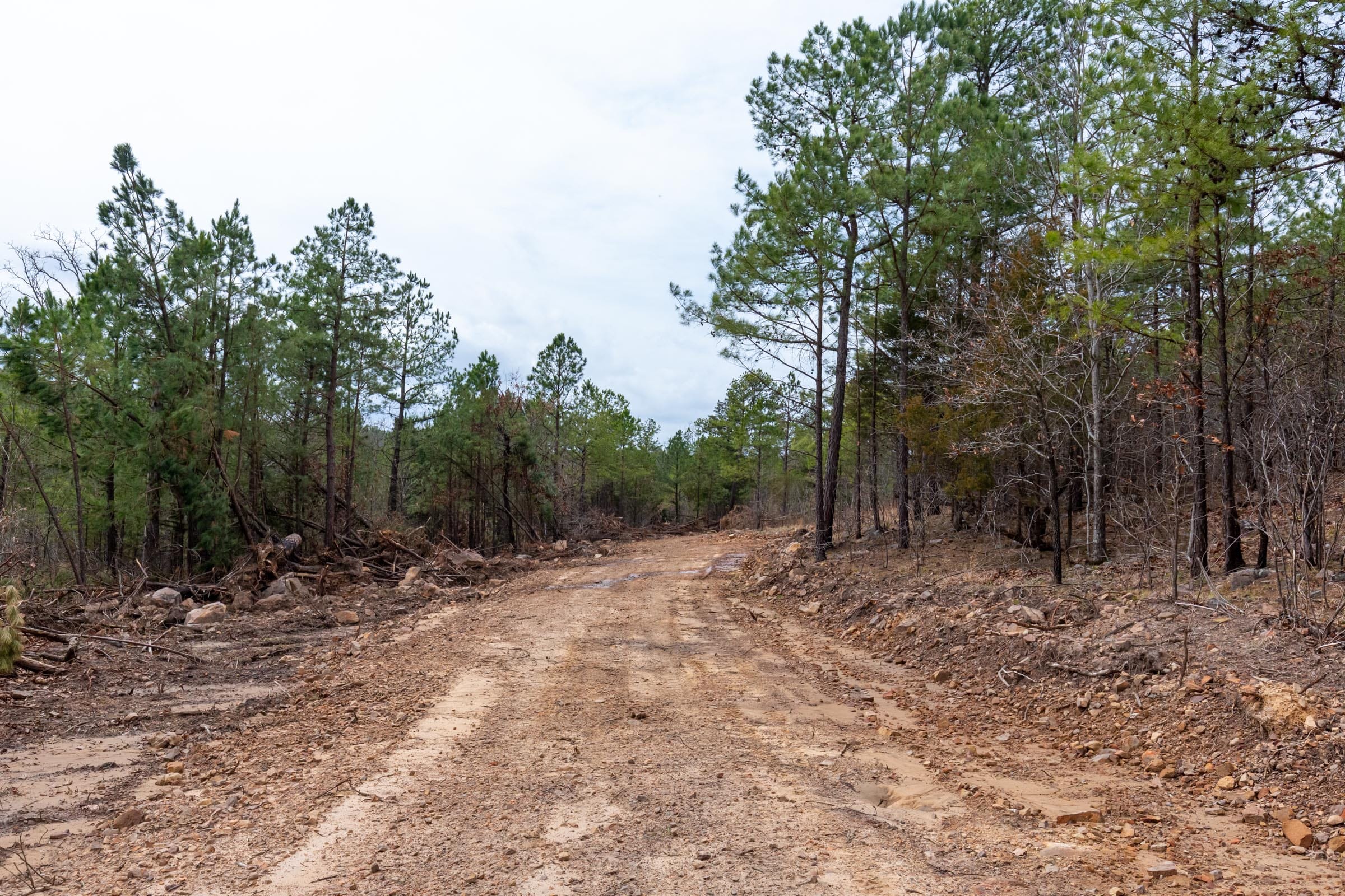 Stone Bridge Phase III Tract 140 photo 1