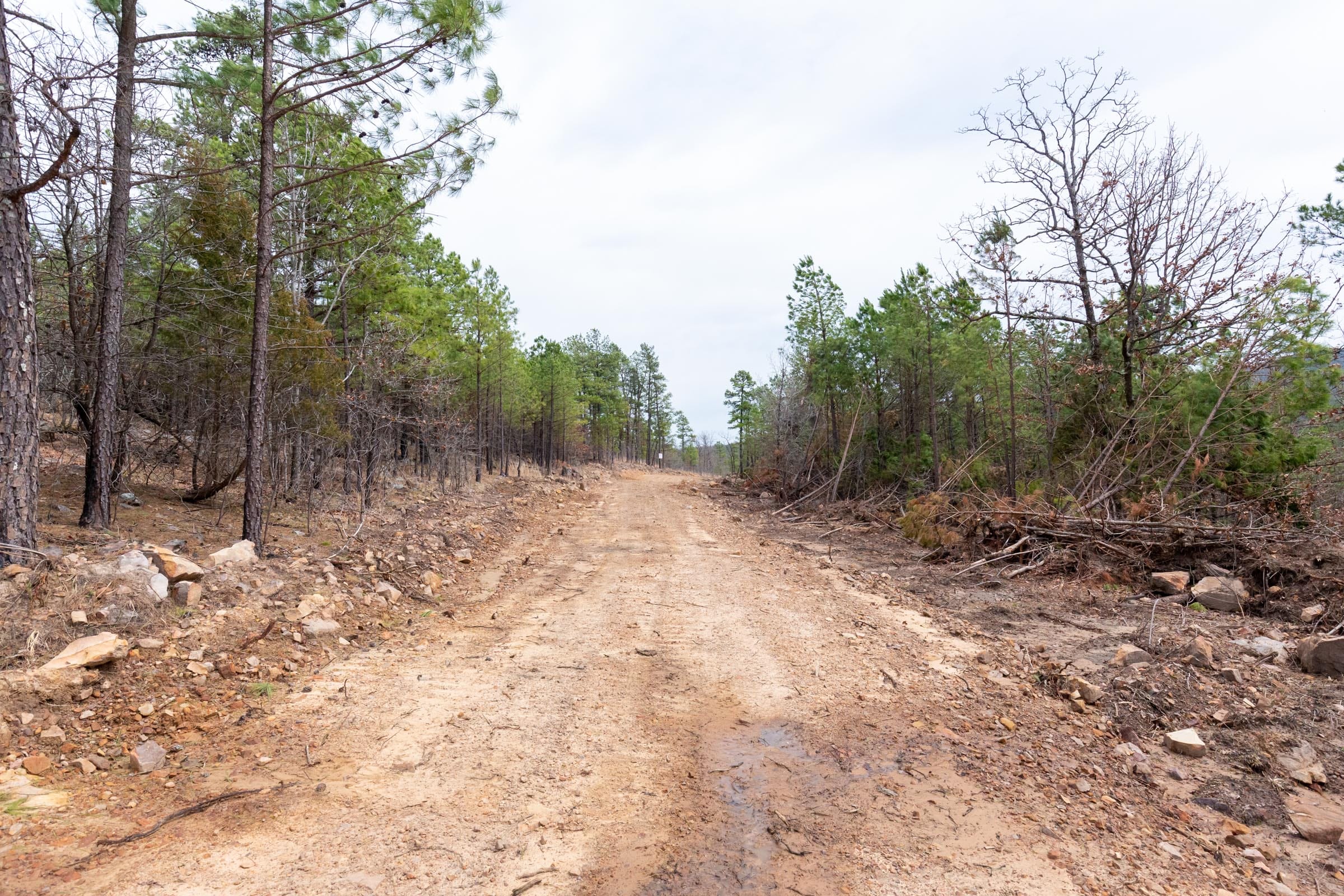 Stone Bridge Phase III Tract 140 photo 16