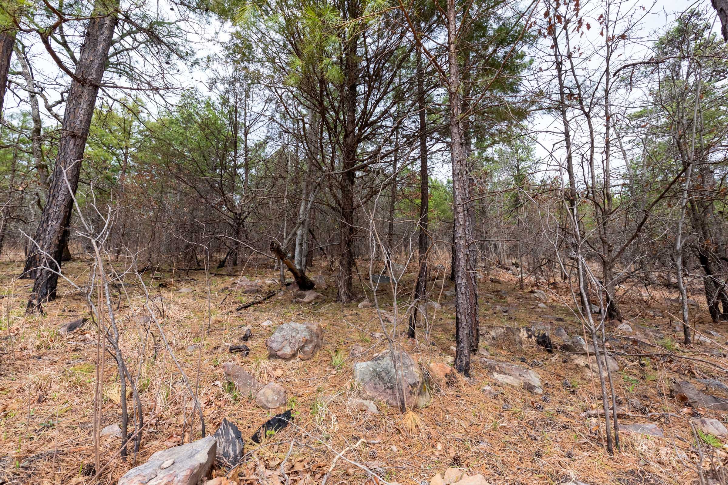 Stone Bridge Phase III Tract 140 photo 10