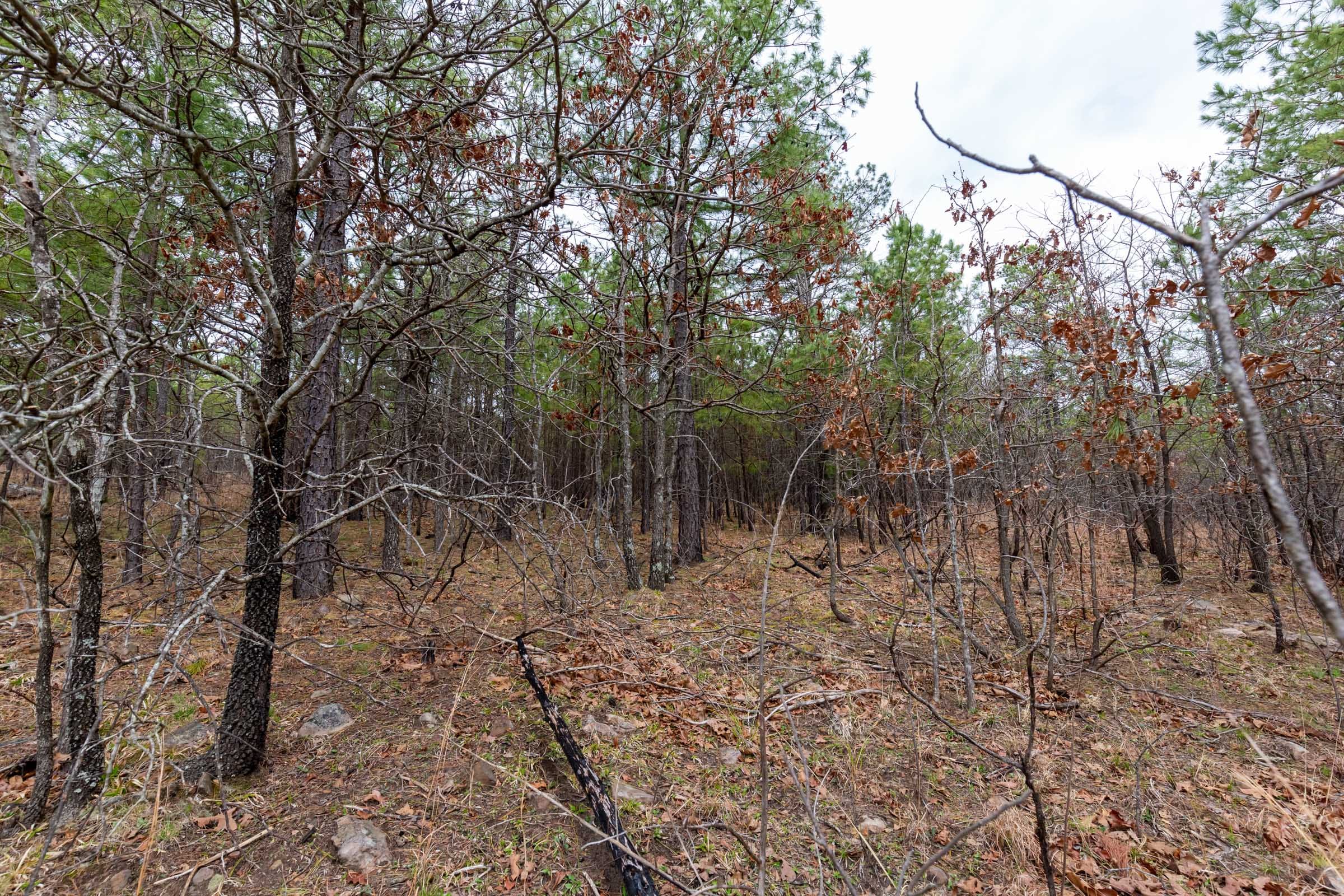 Stone Bridge Phase III Tract 140 photo 11