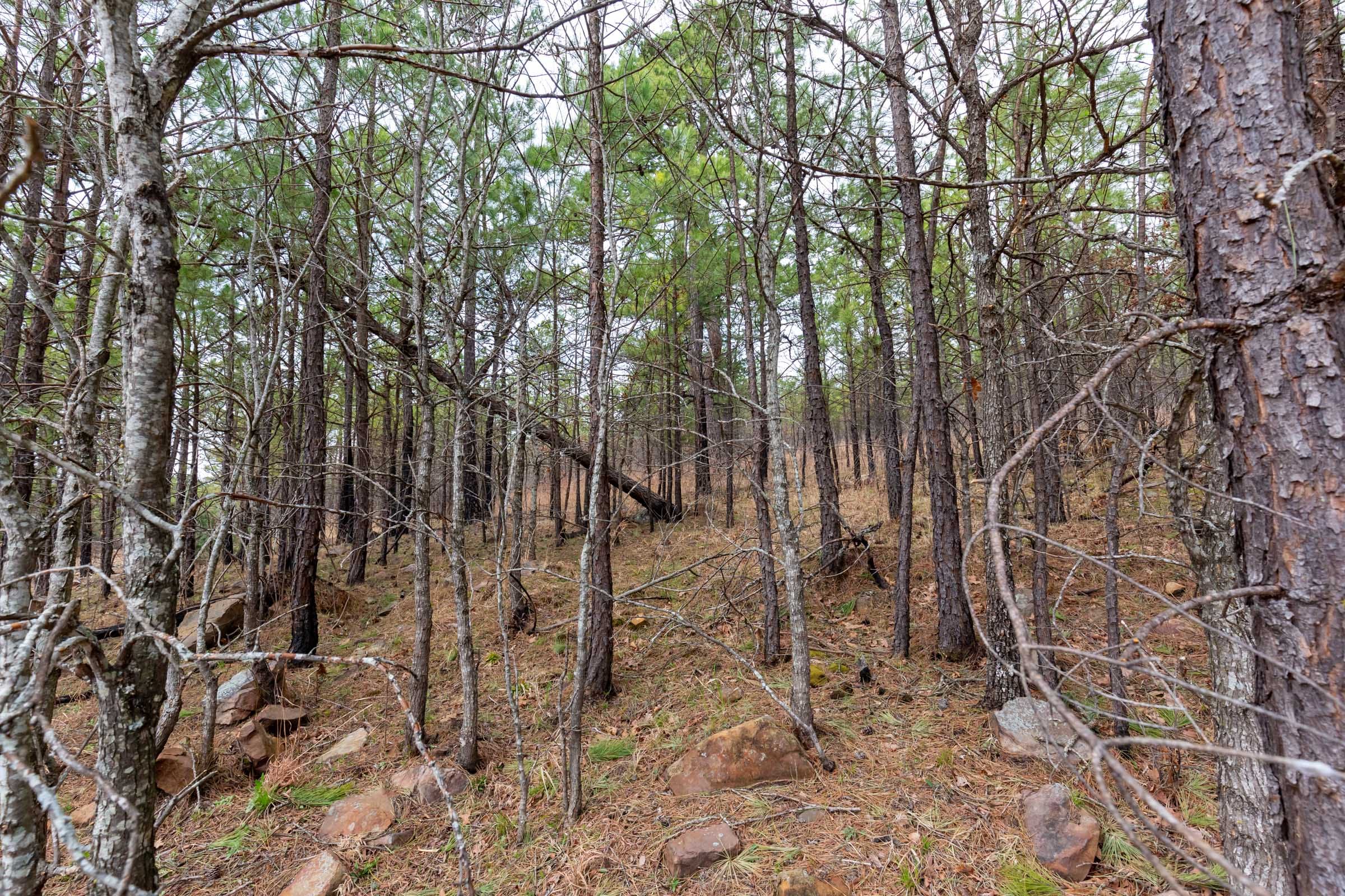 Stone Bridge Phase III Tract 140 photo 12