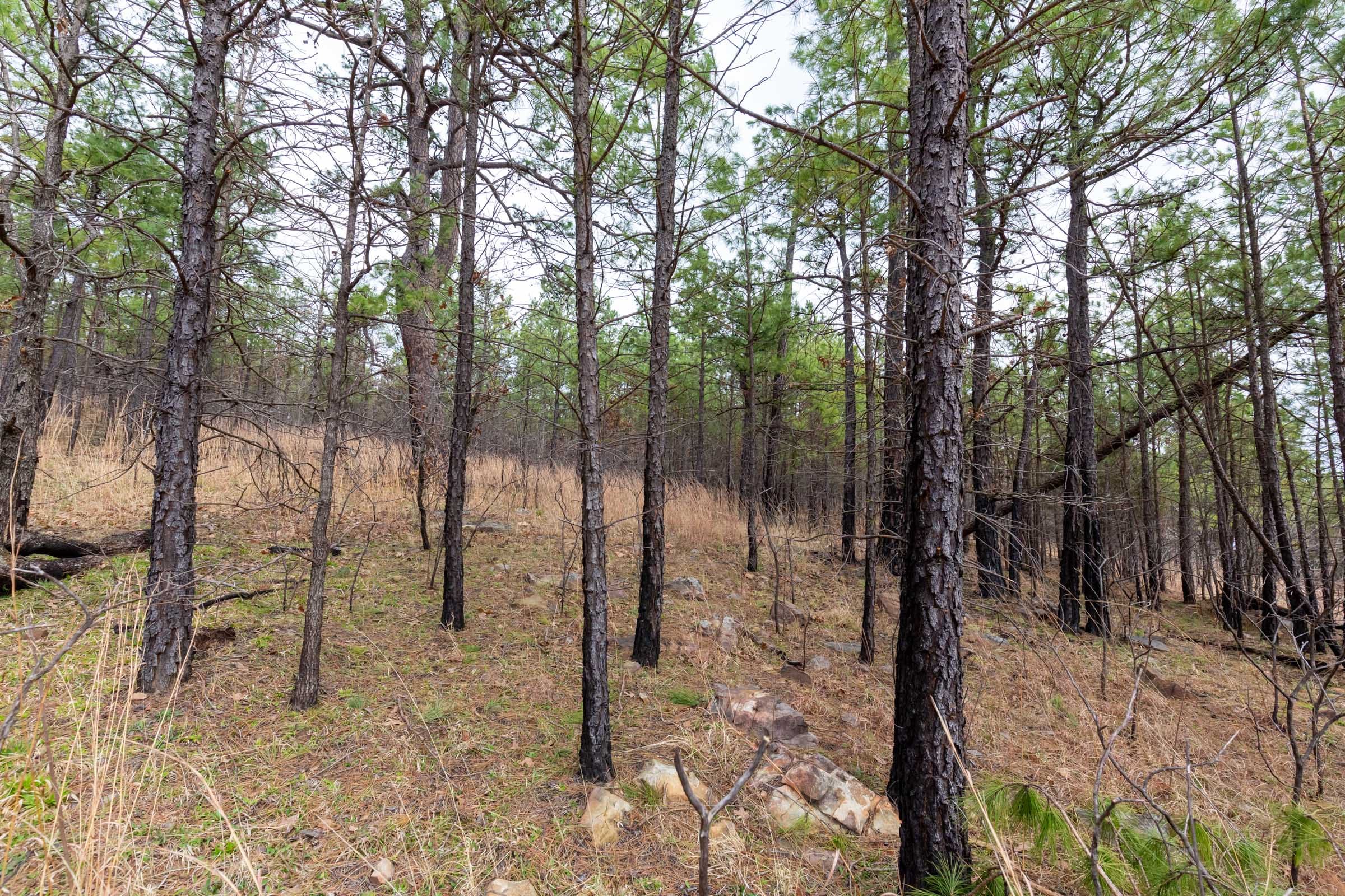 Stone Bridge Phase III Tract 140 photo 15