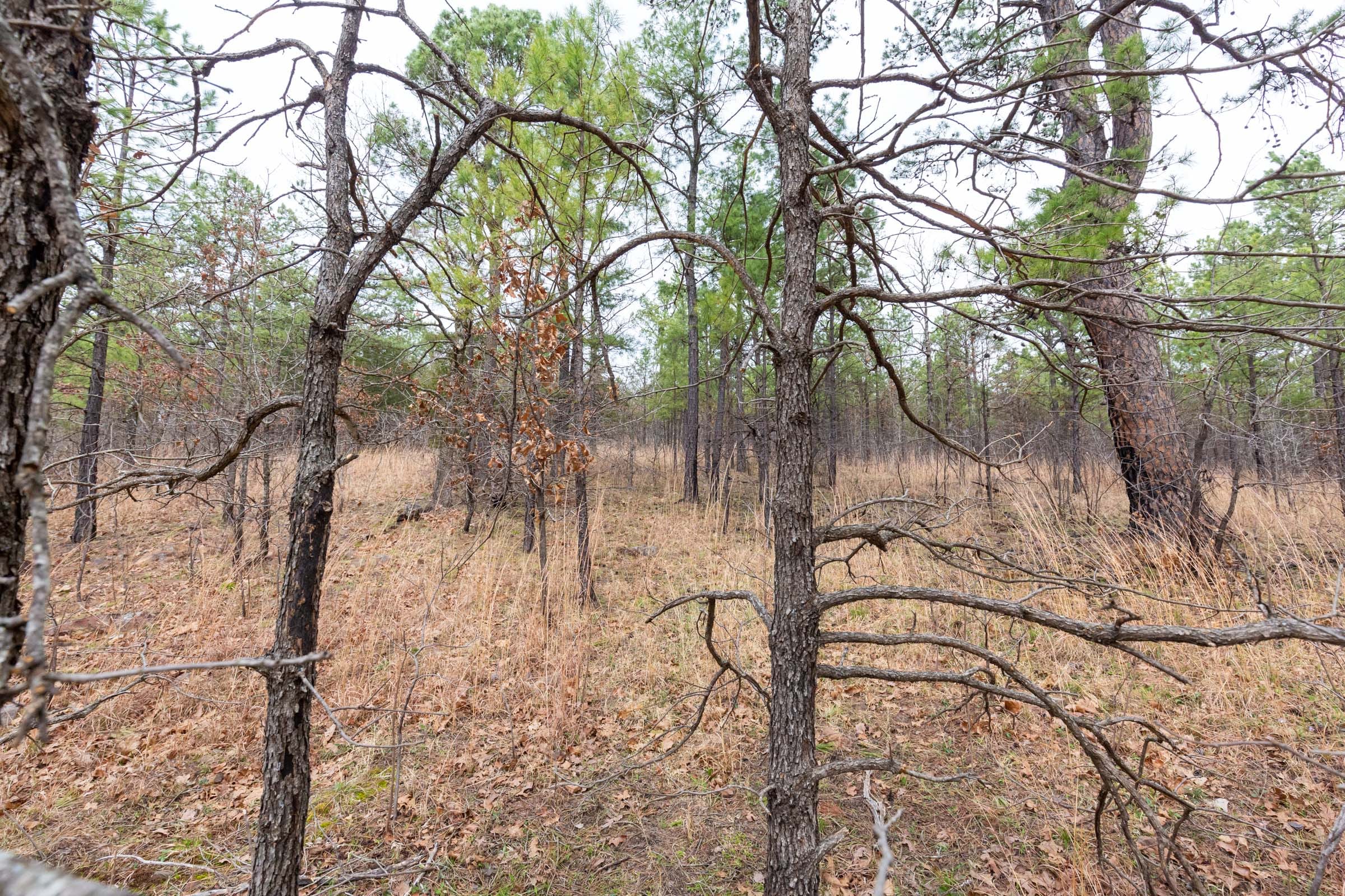 Stone Bridge Phase III Tract 140 photo 18