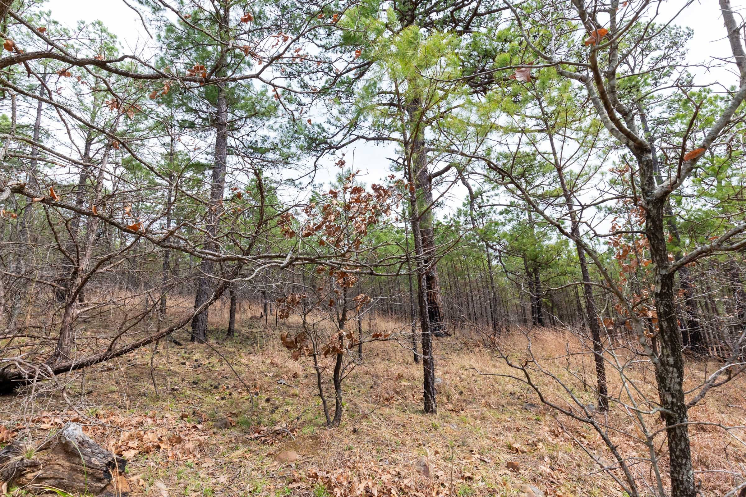 Stone Bridge Phase III Tract 140 photo 19