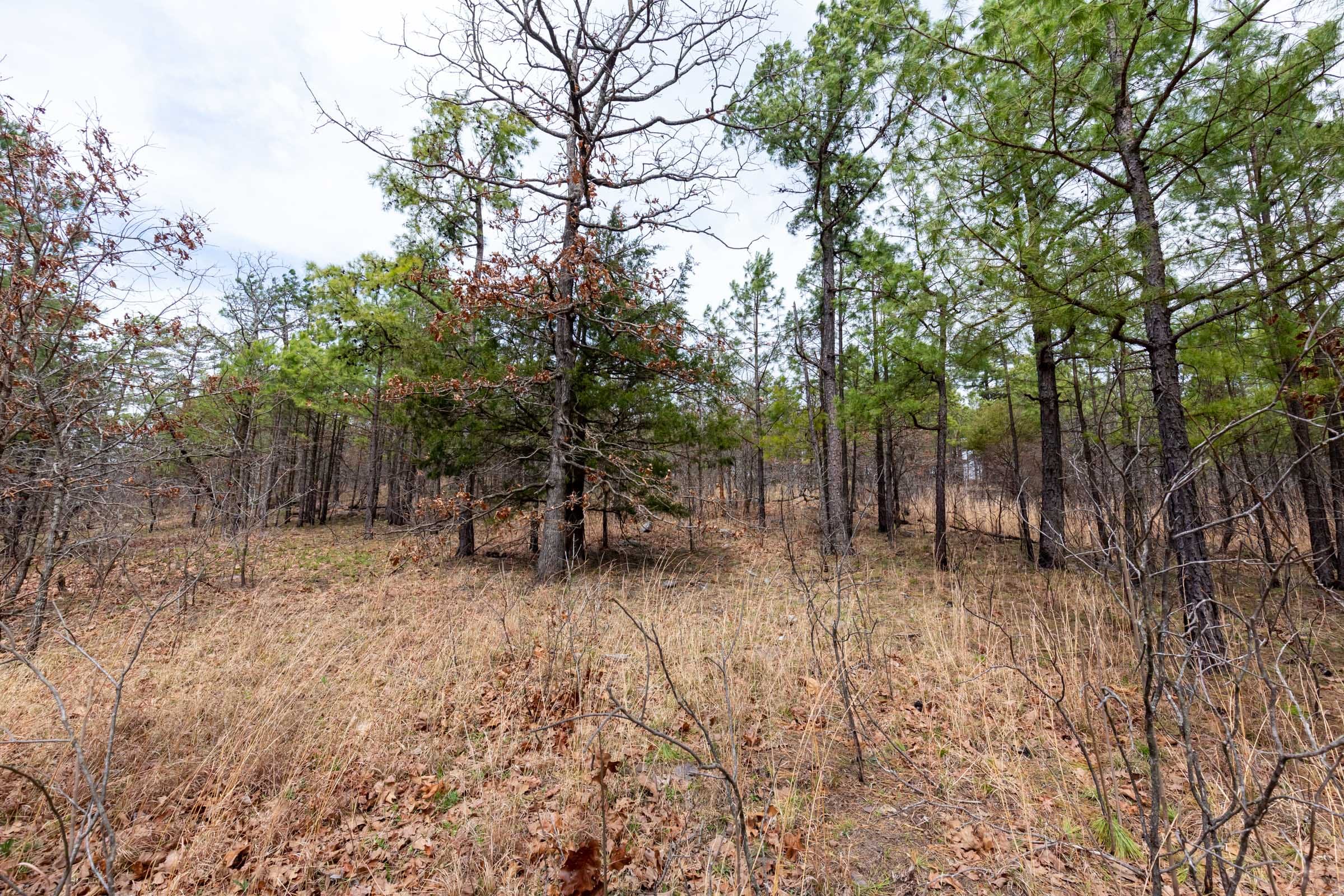 Stone Bridge Phase III Tract 140 photo 21