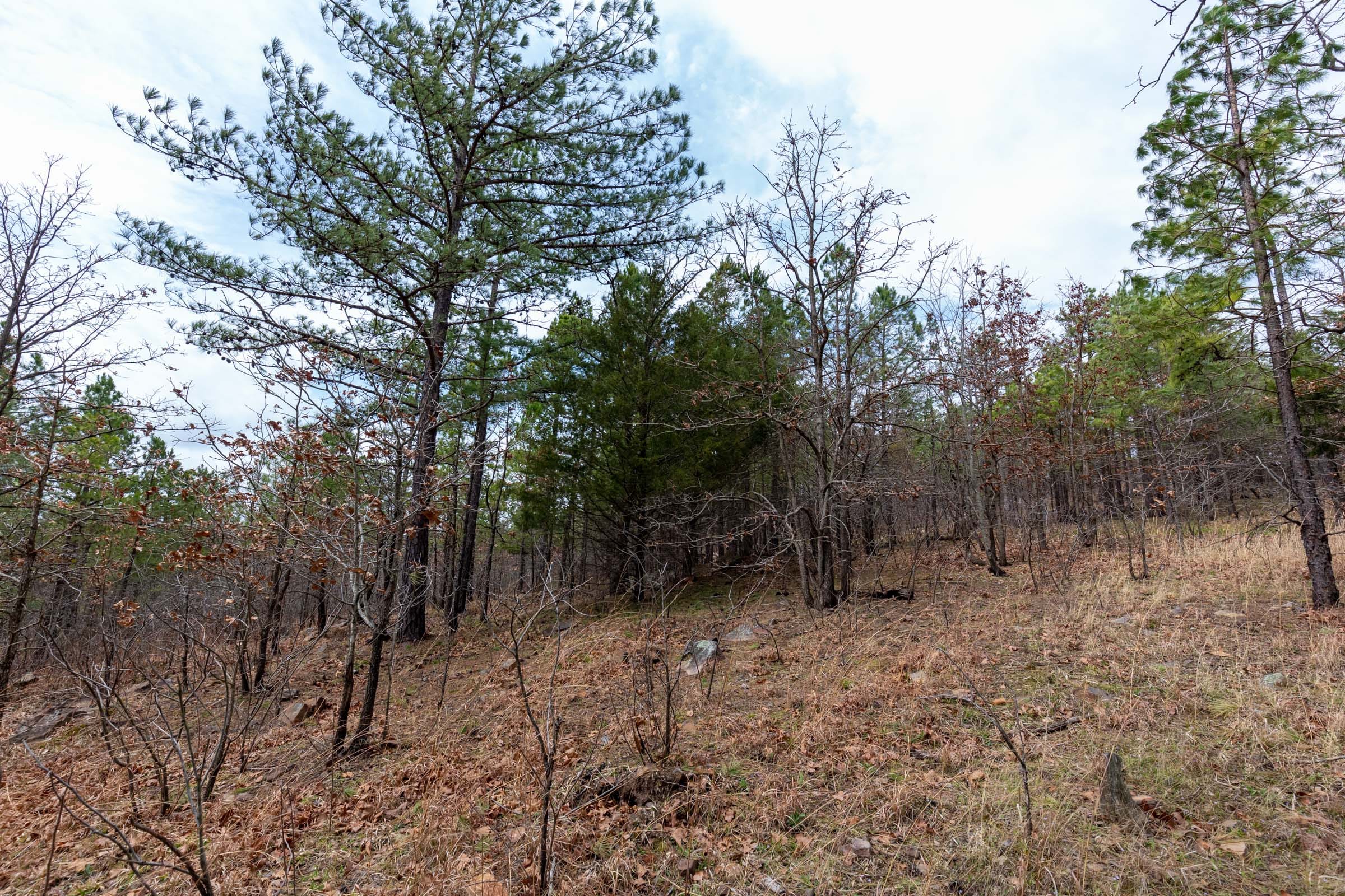 Stone Bridge Phase III Tract 140 photo 22