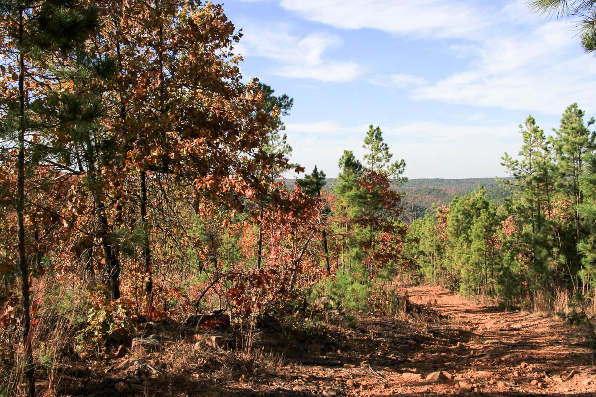 Stone Creek Phase III Tract 11 photo 2