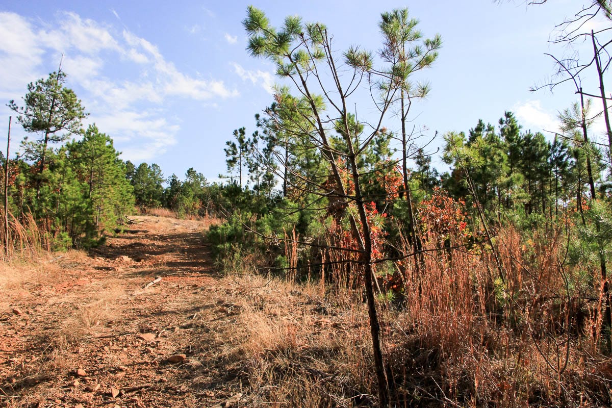 Stone Creek Phase III Tract 11 photo 5